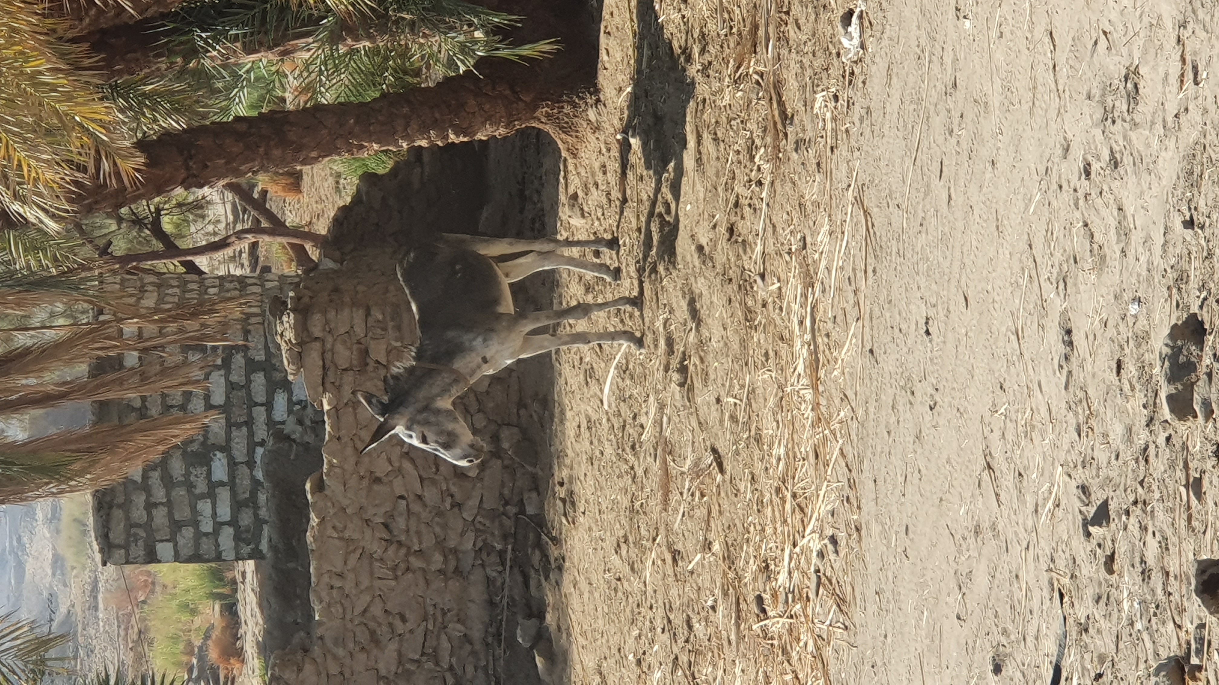 Photo from 2019