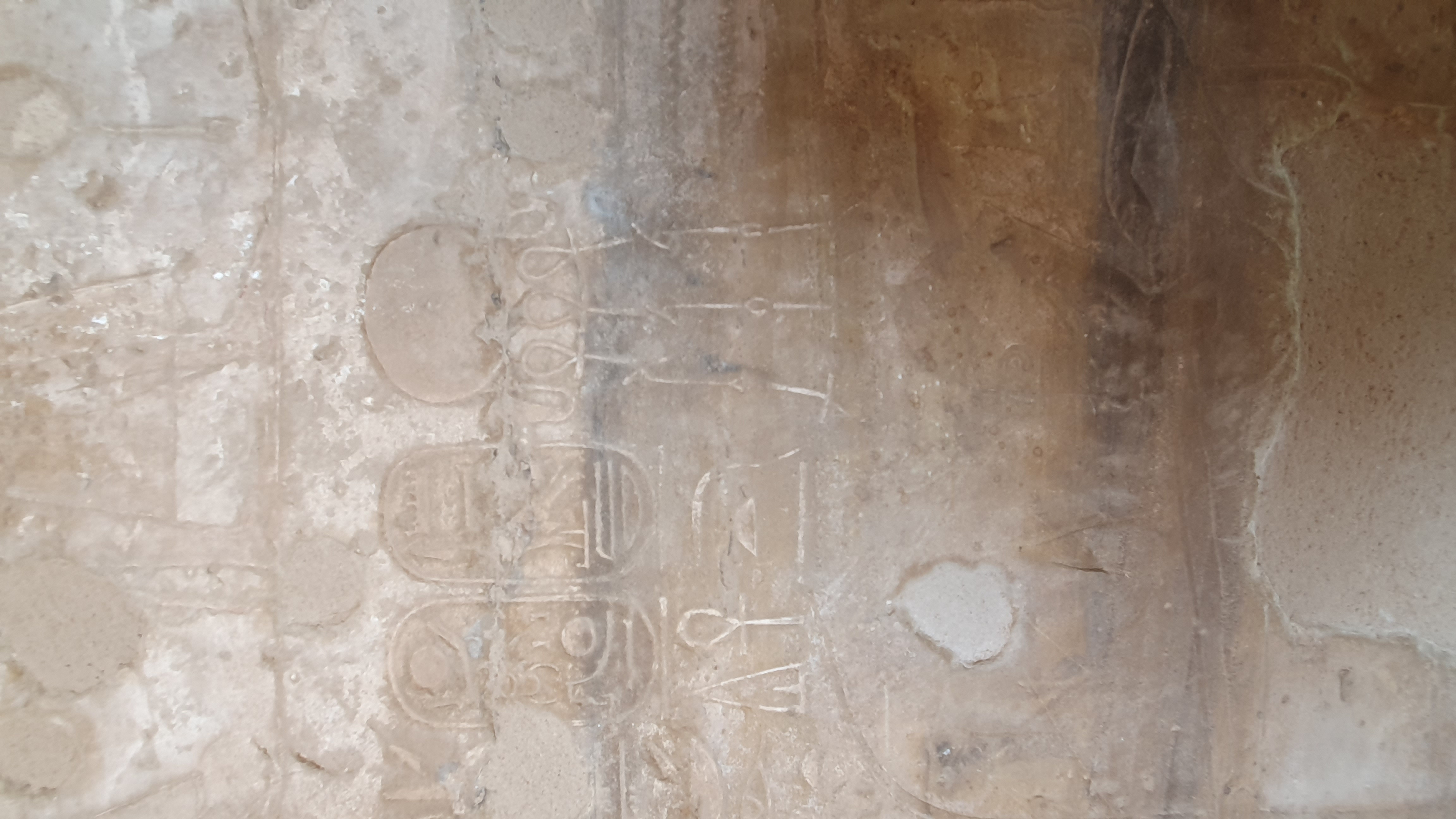 Photo from 2019