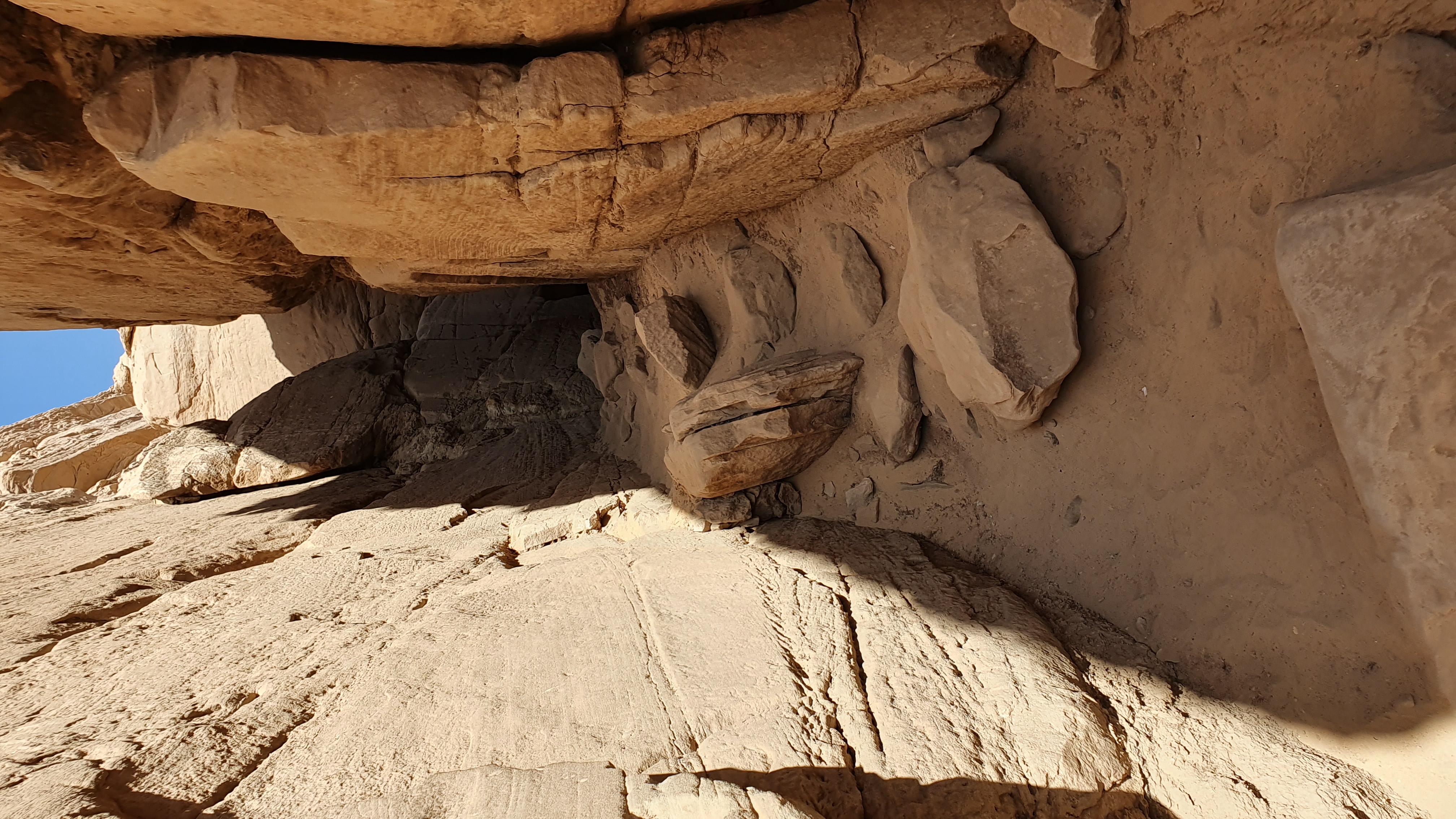 Photo from 2019