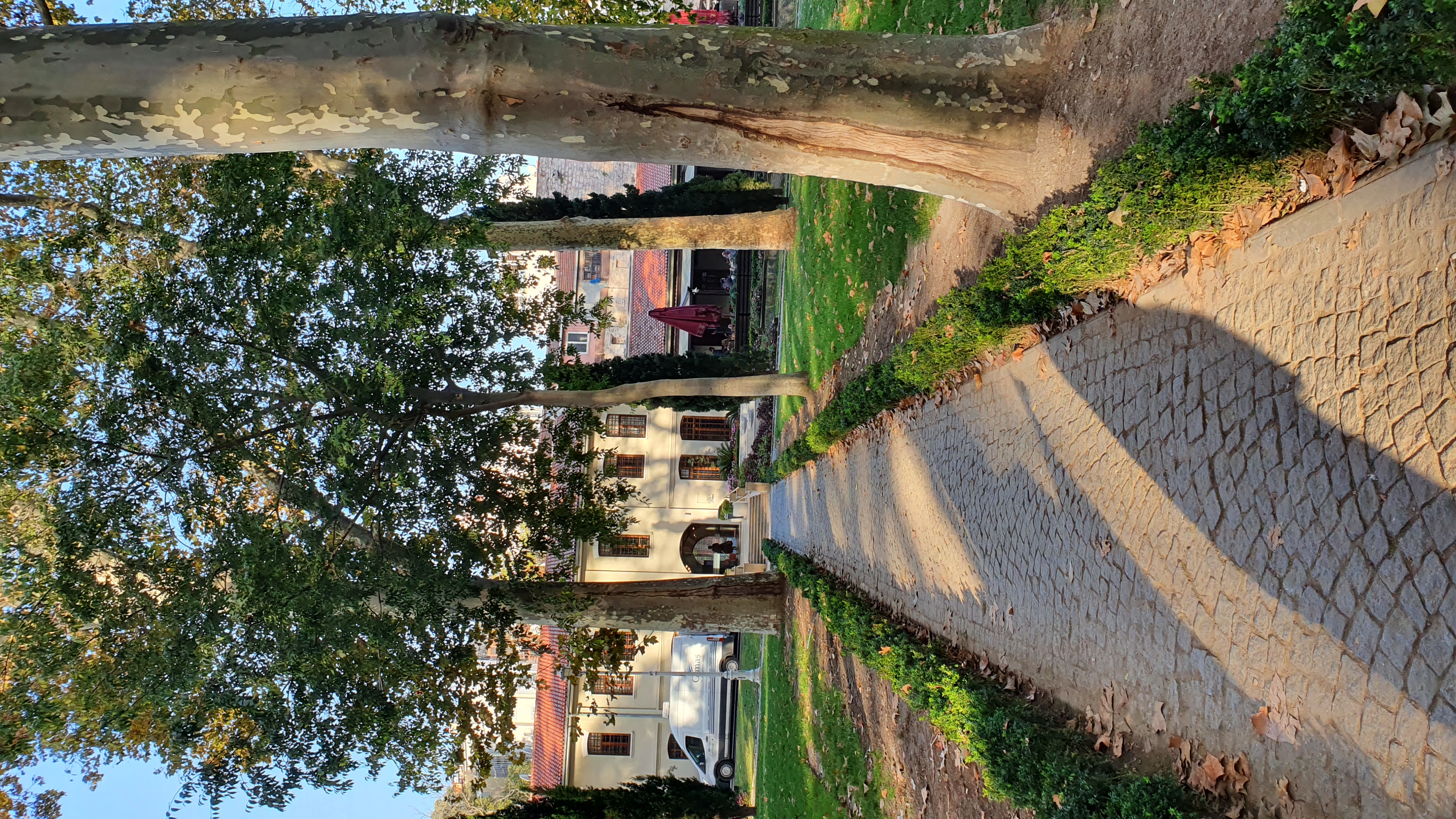 Photo from 2019