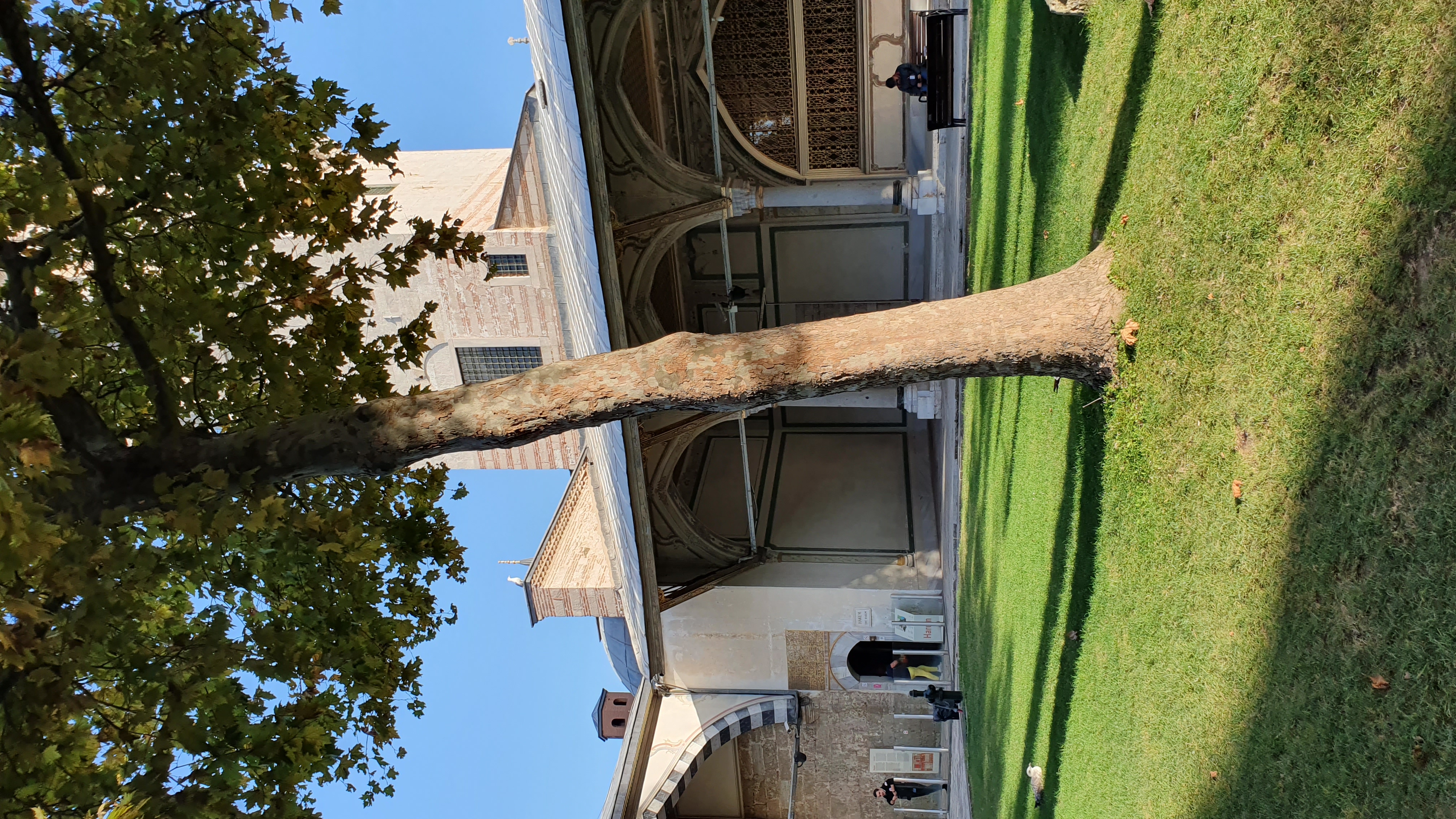 Photo from 2019