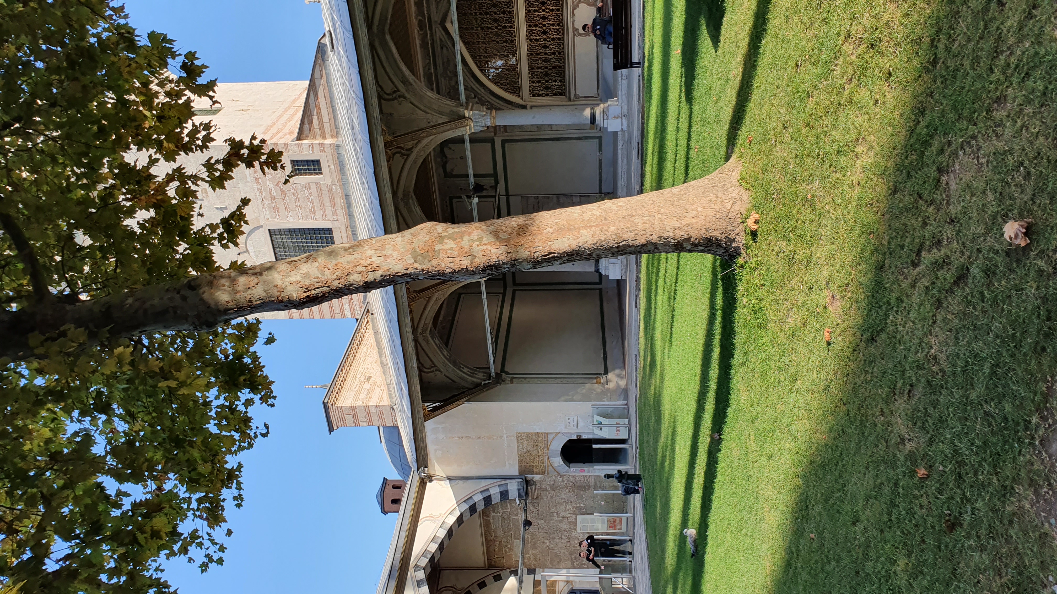 Photo from 2019