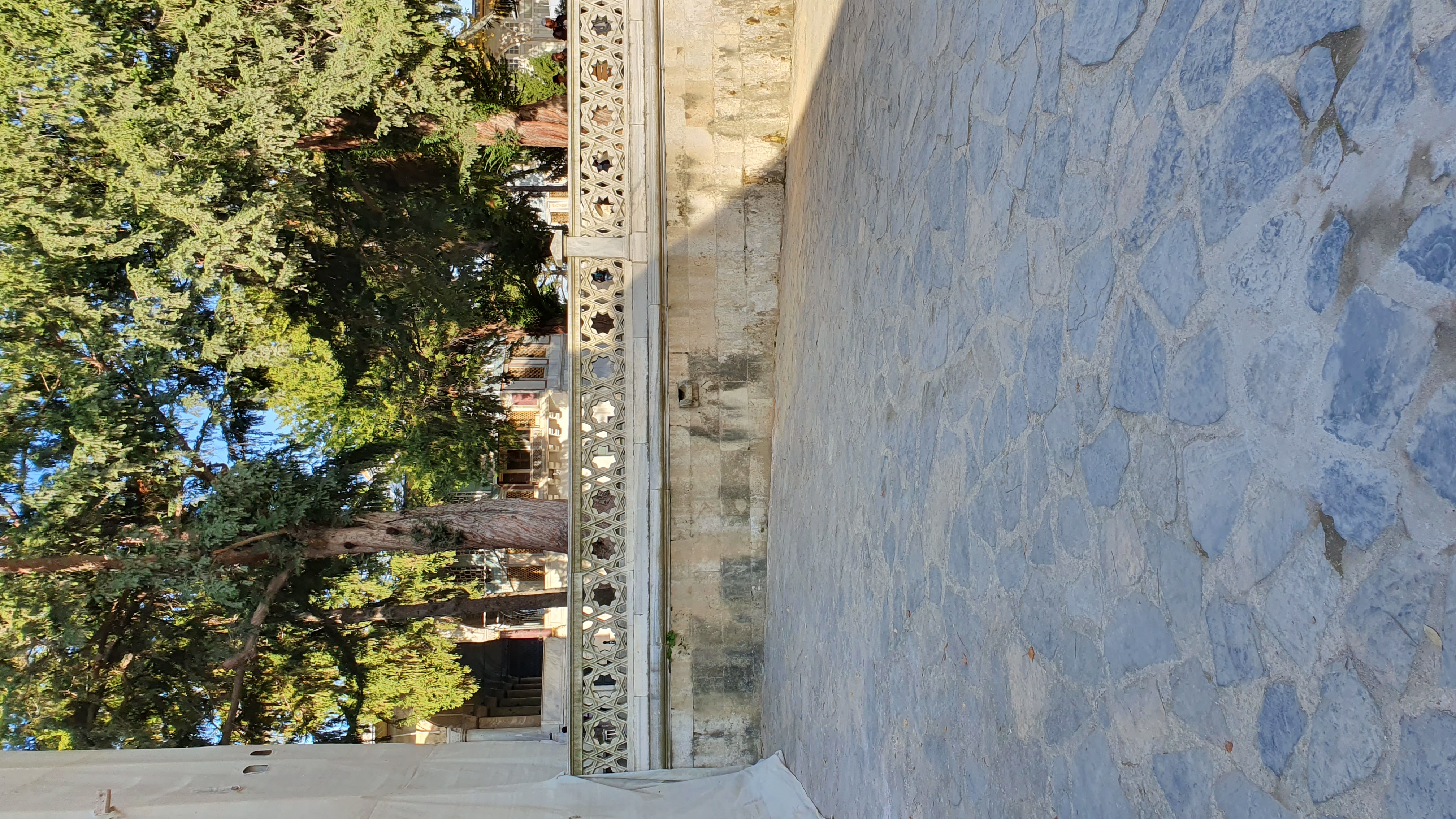Photo from 2019