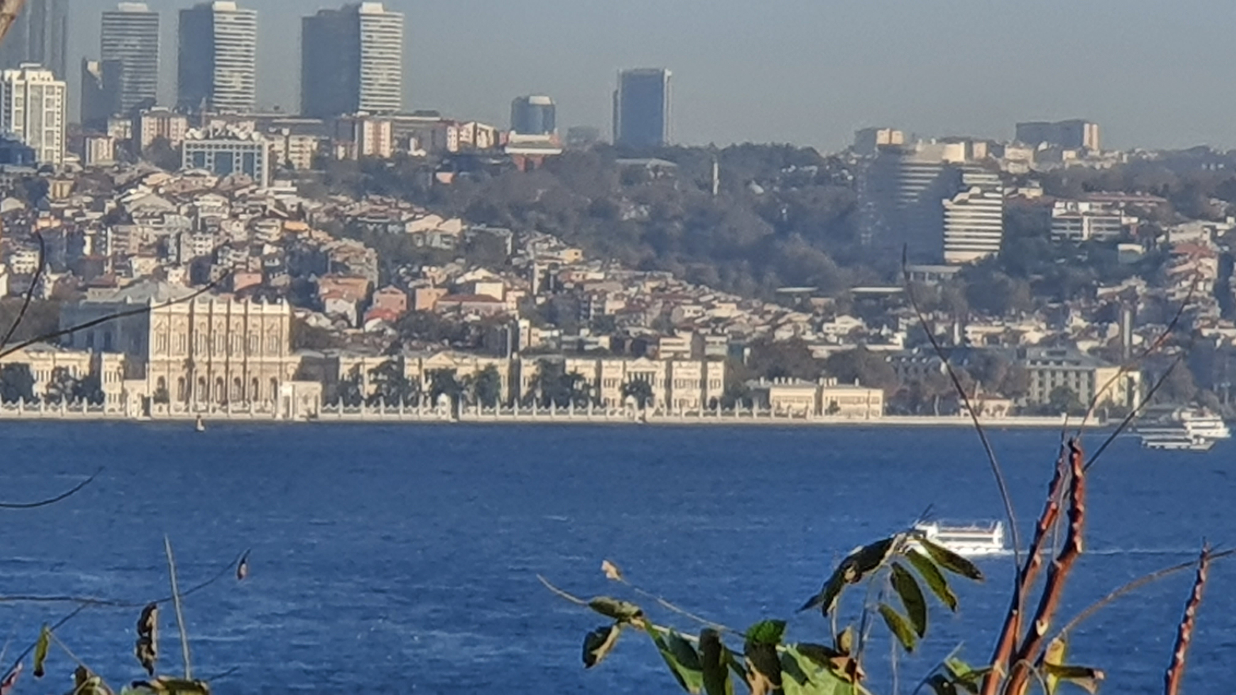 Photo from 2019