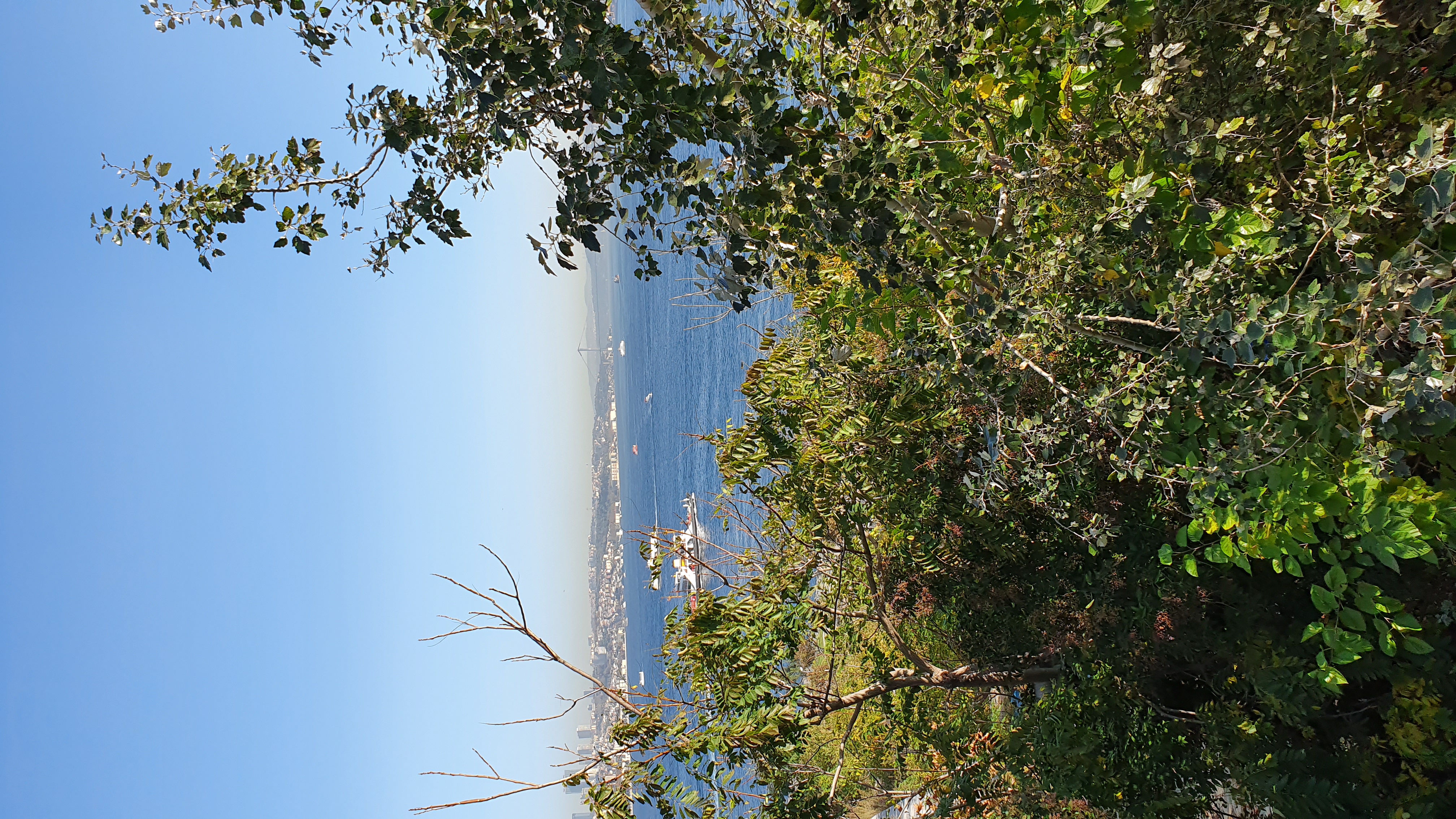 Photo from 2019