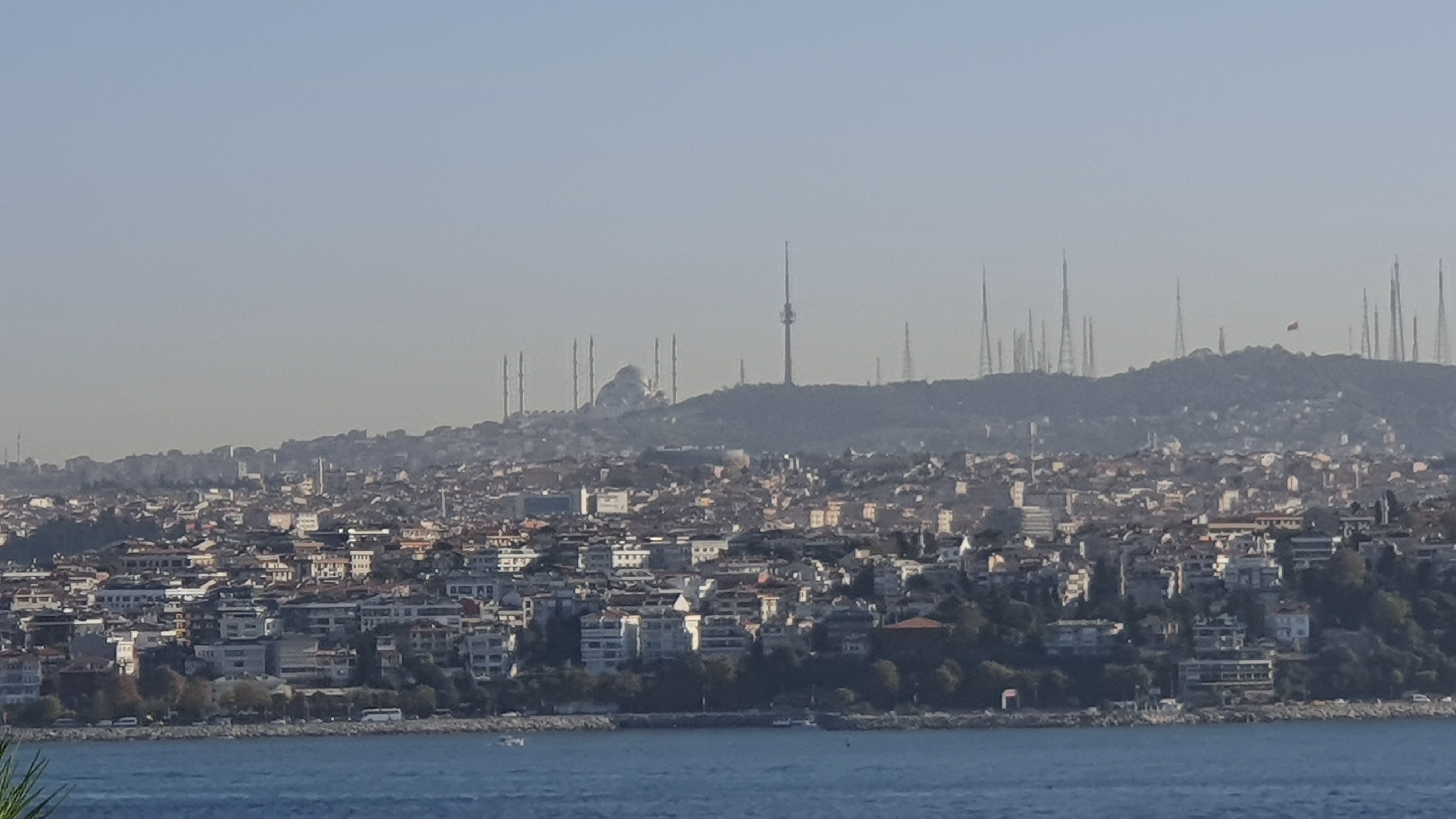 Photo from 2019
