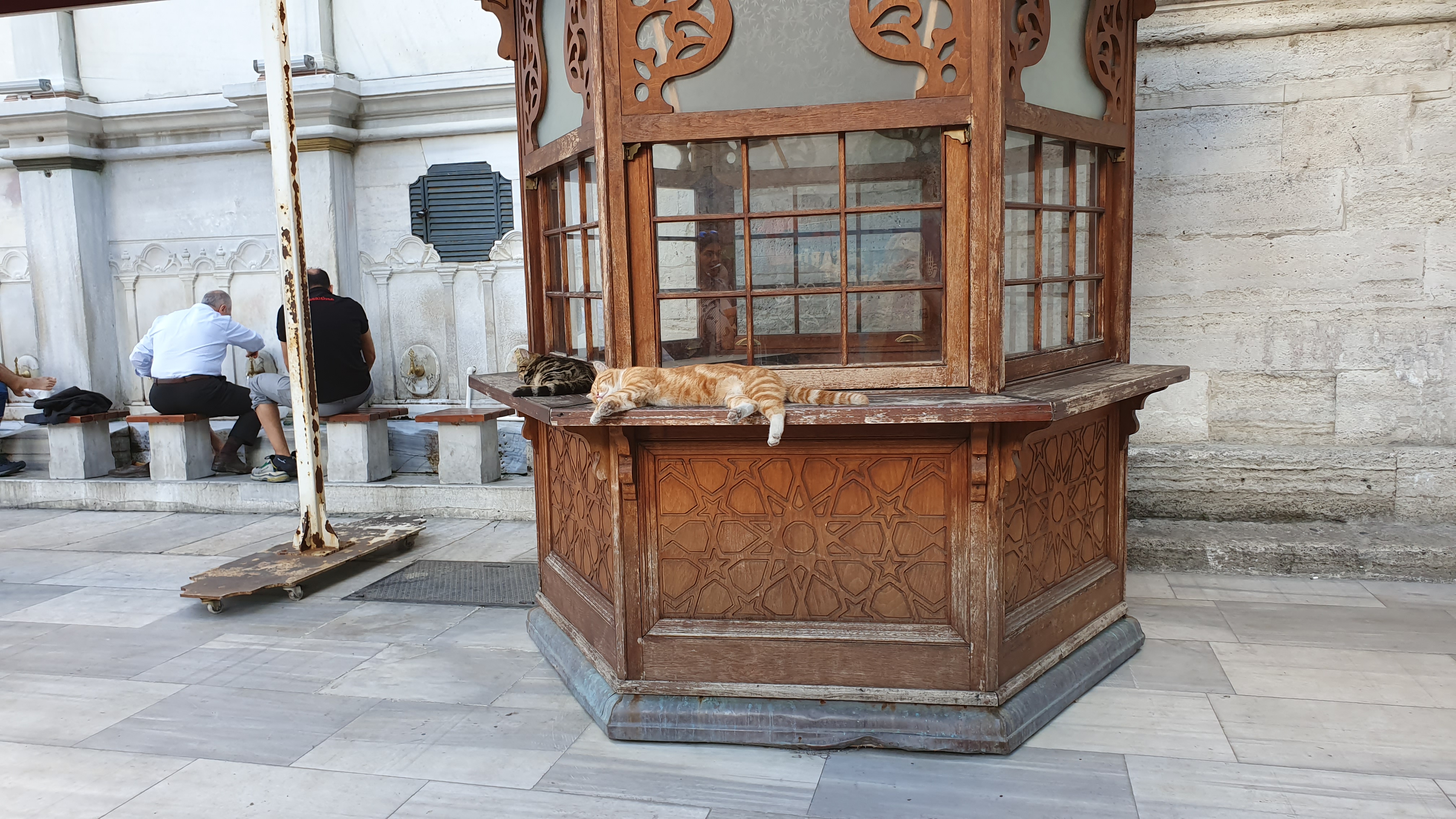 Photo from 2019
