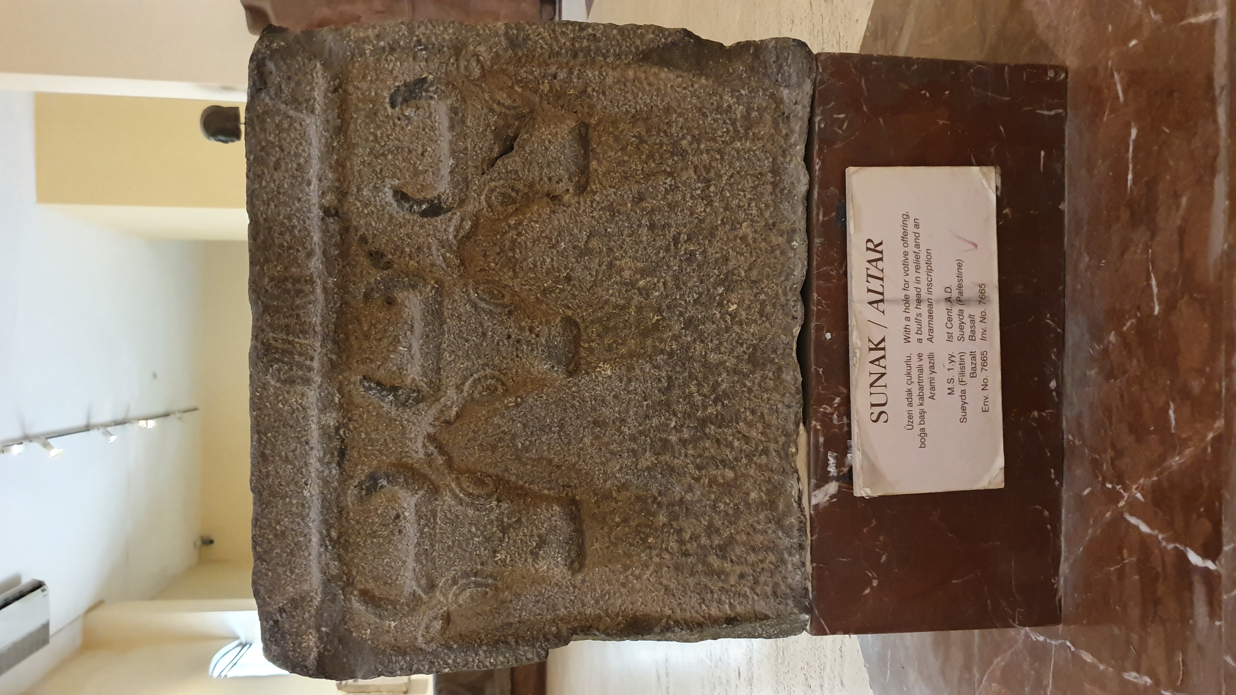 Photo from 2019