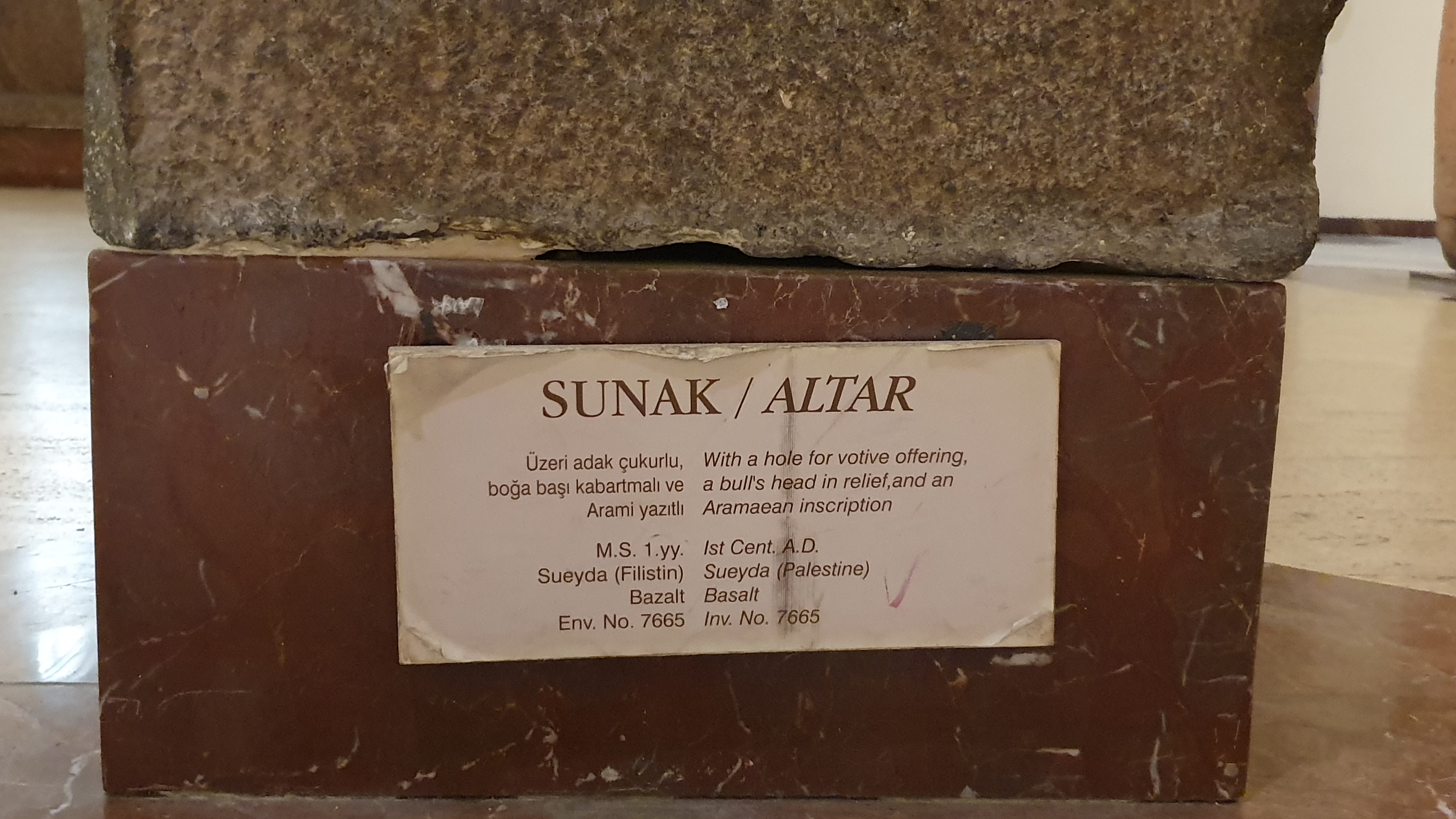 Photo from 2019