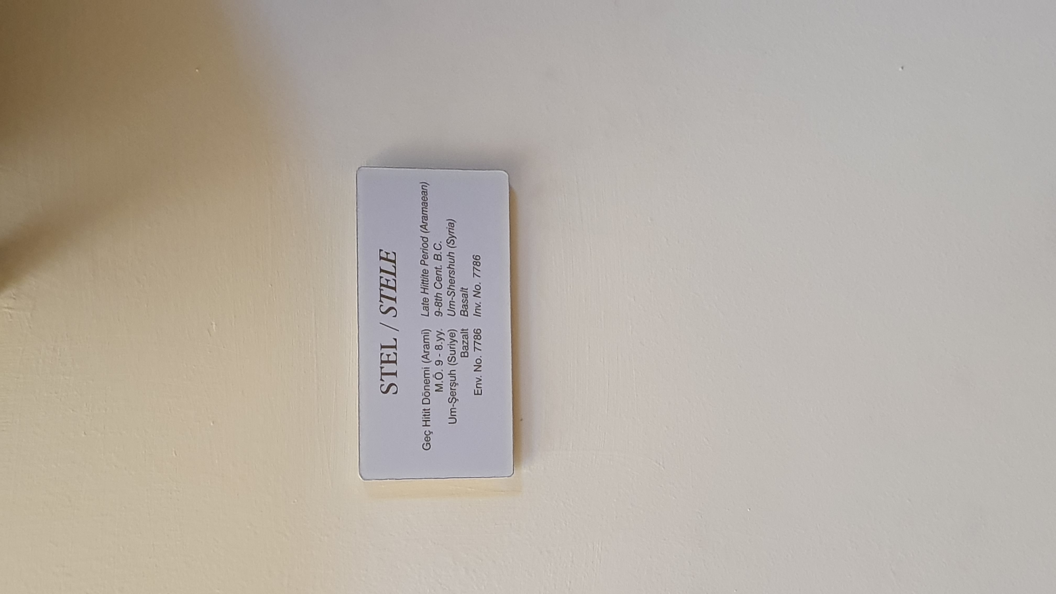 Photo from 2019