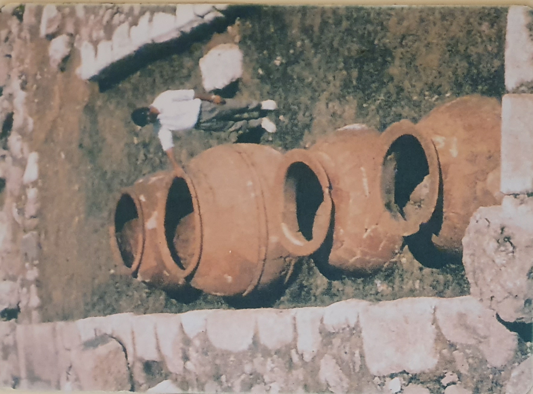 Photo from 2019