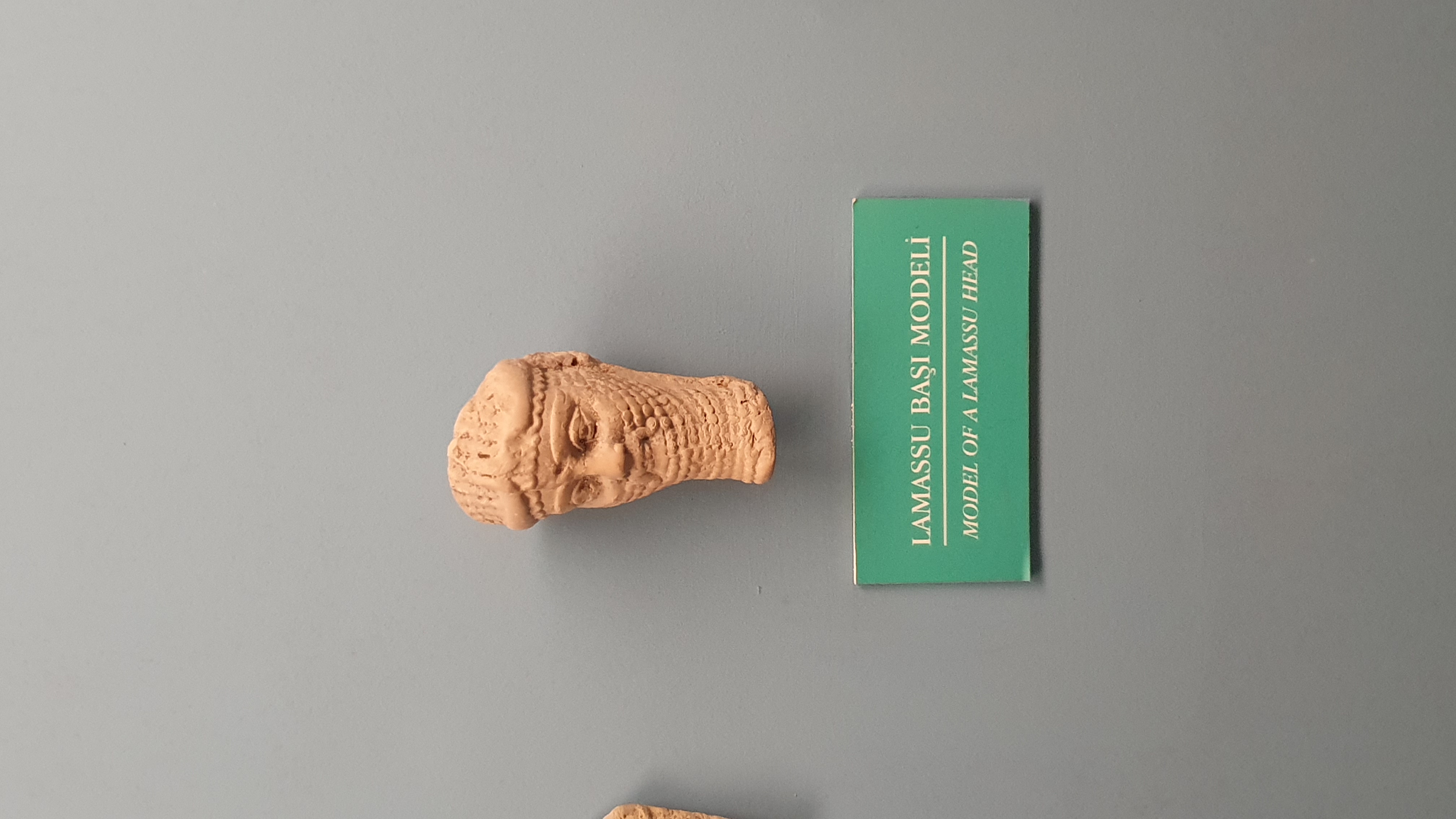 Photo from 2019