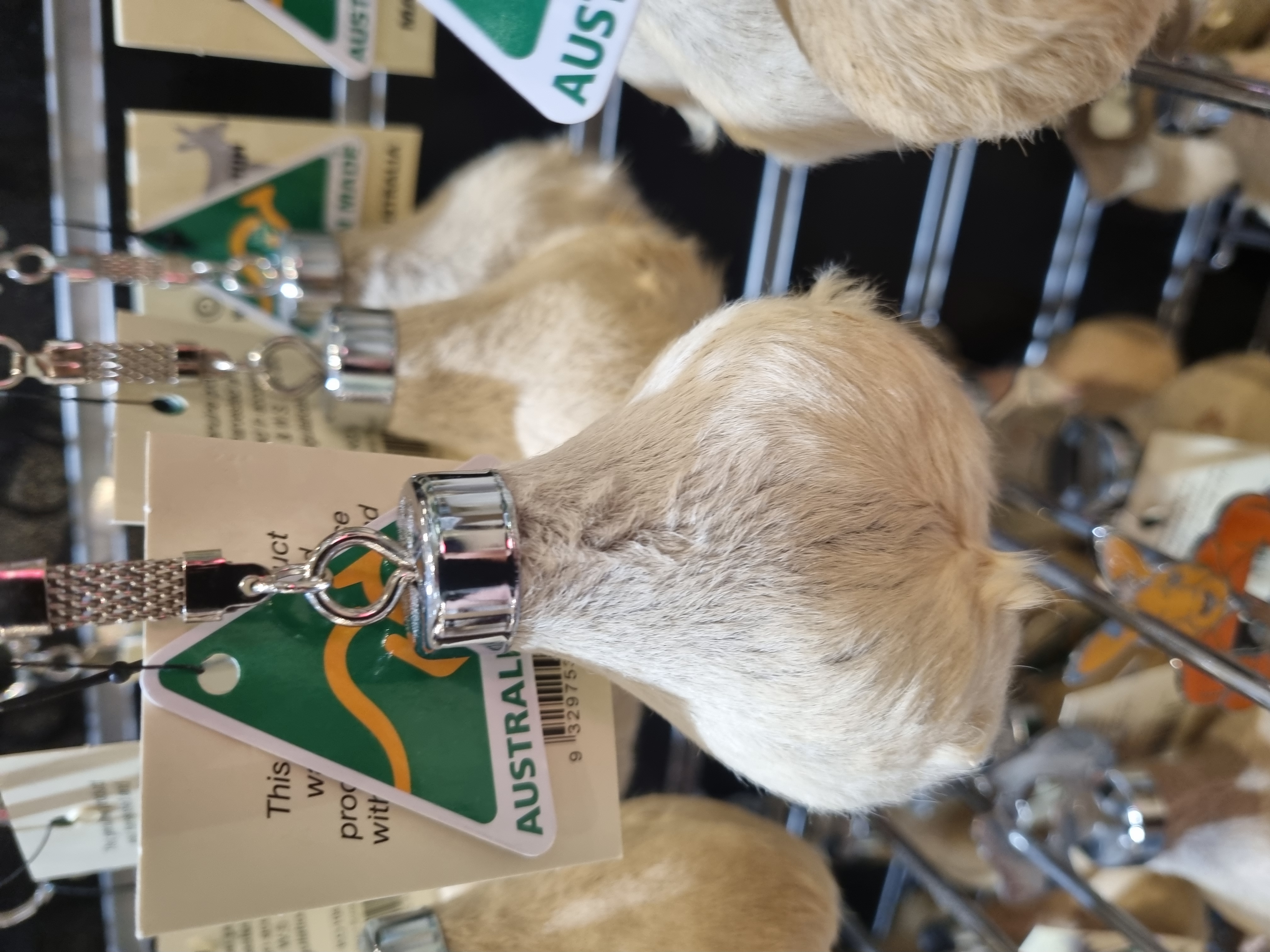 Photo from 2025