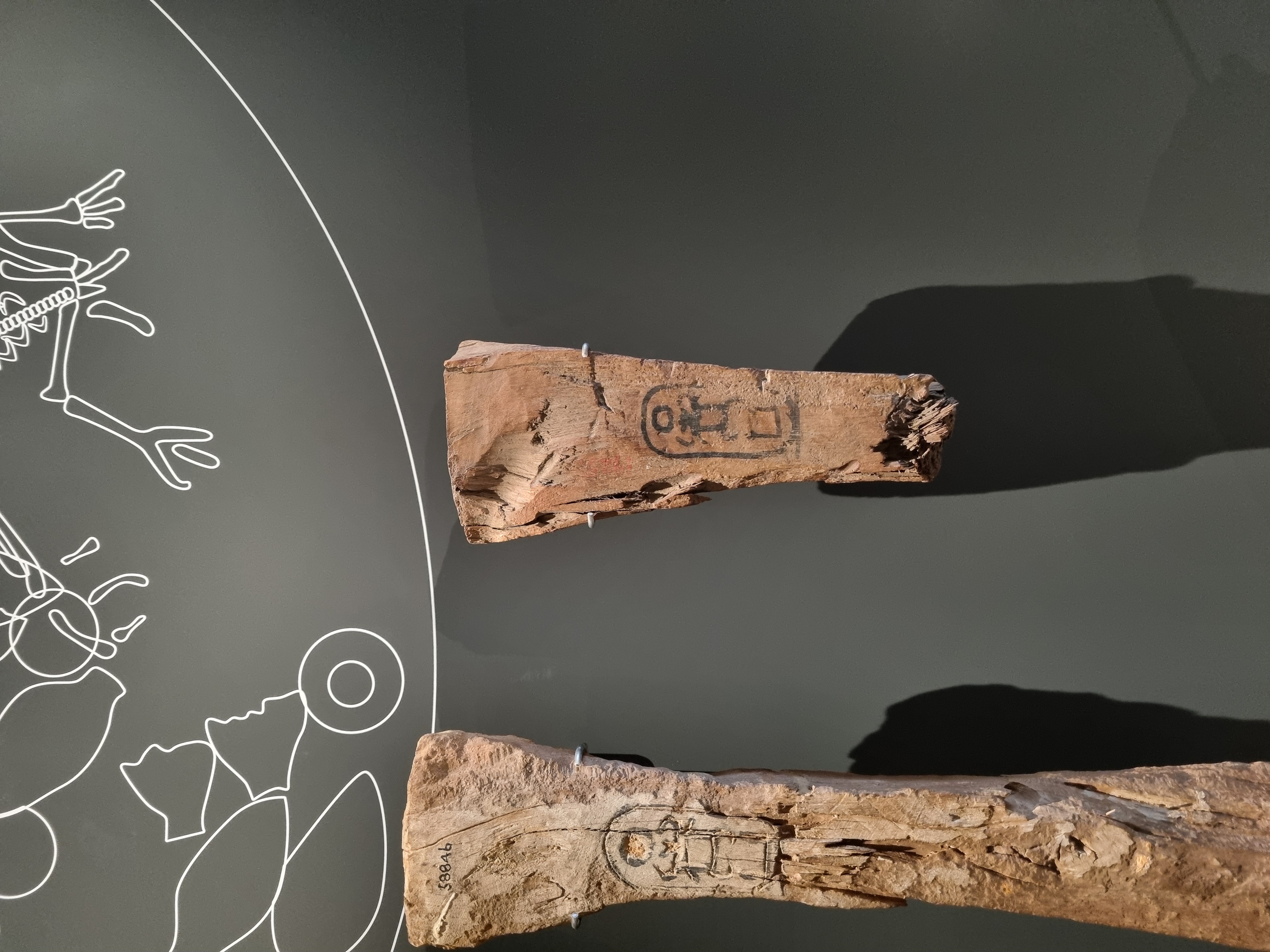 Photo from 2025