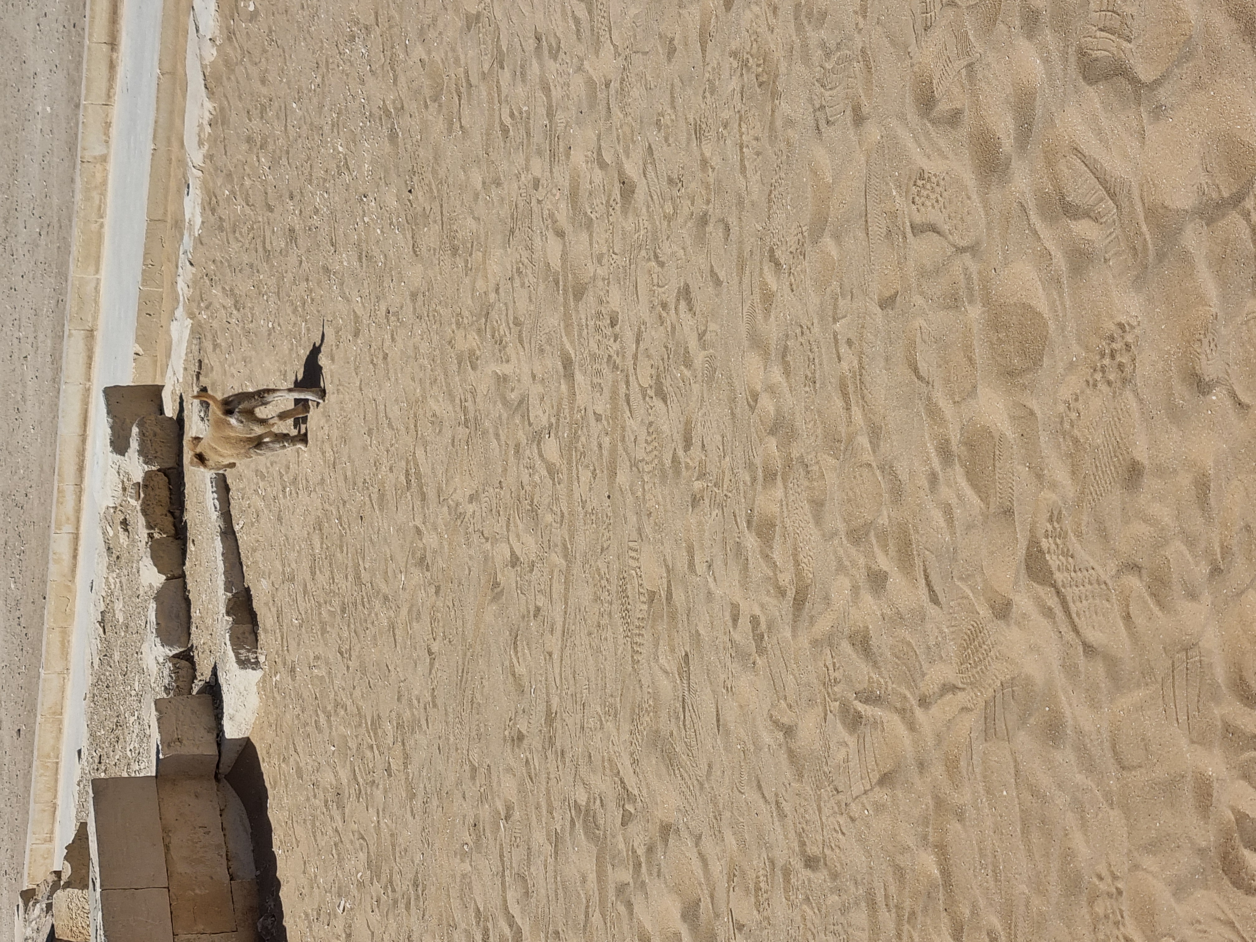 Photo from 2025