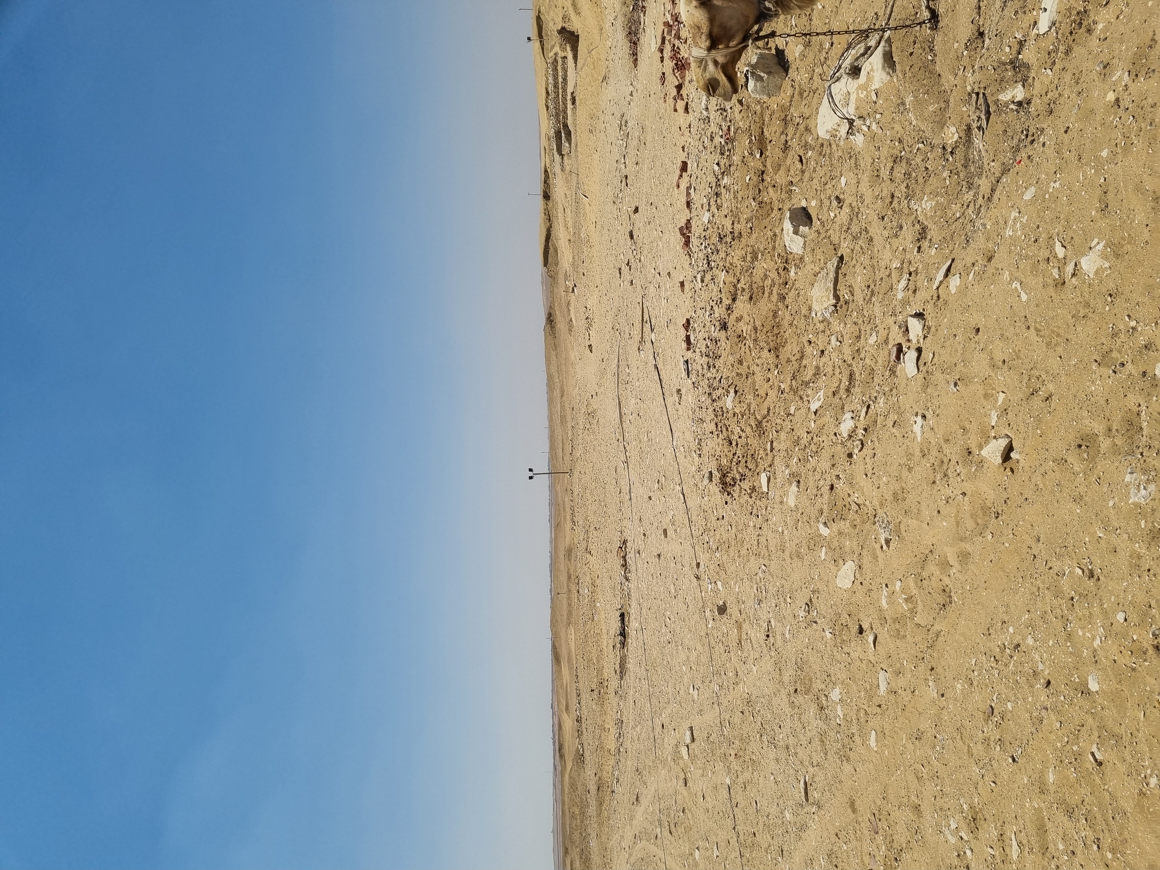 Photo from 2025