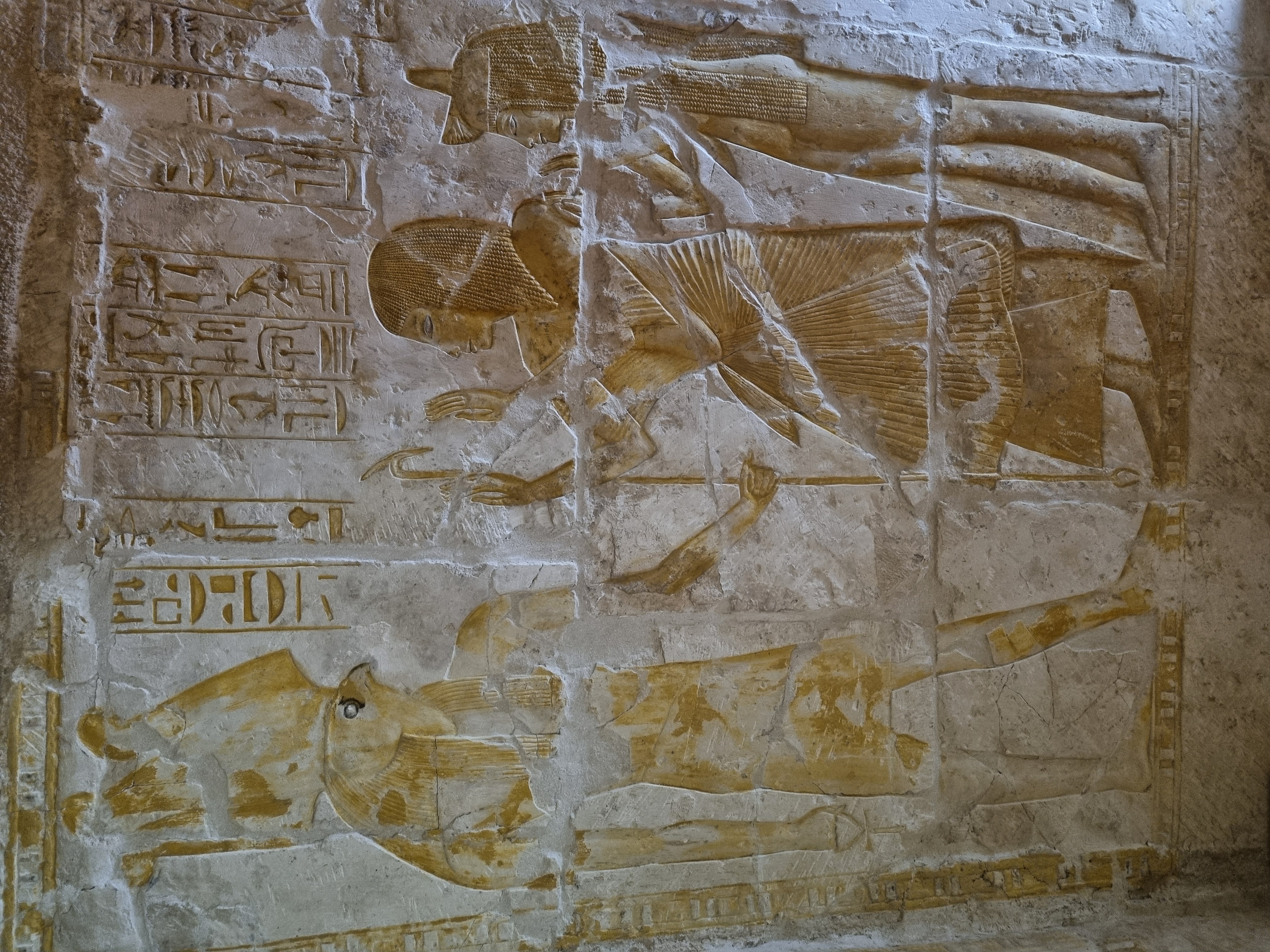 Photo from 2025