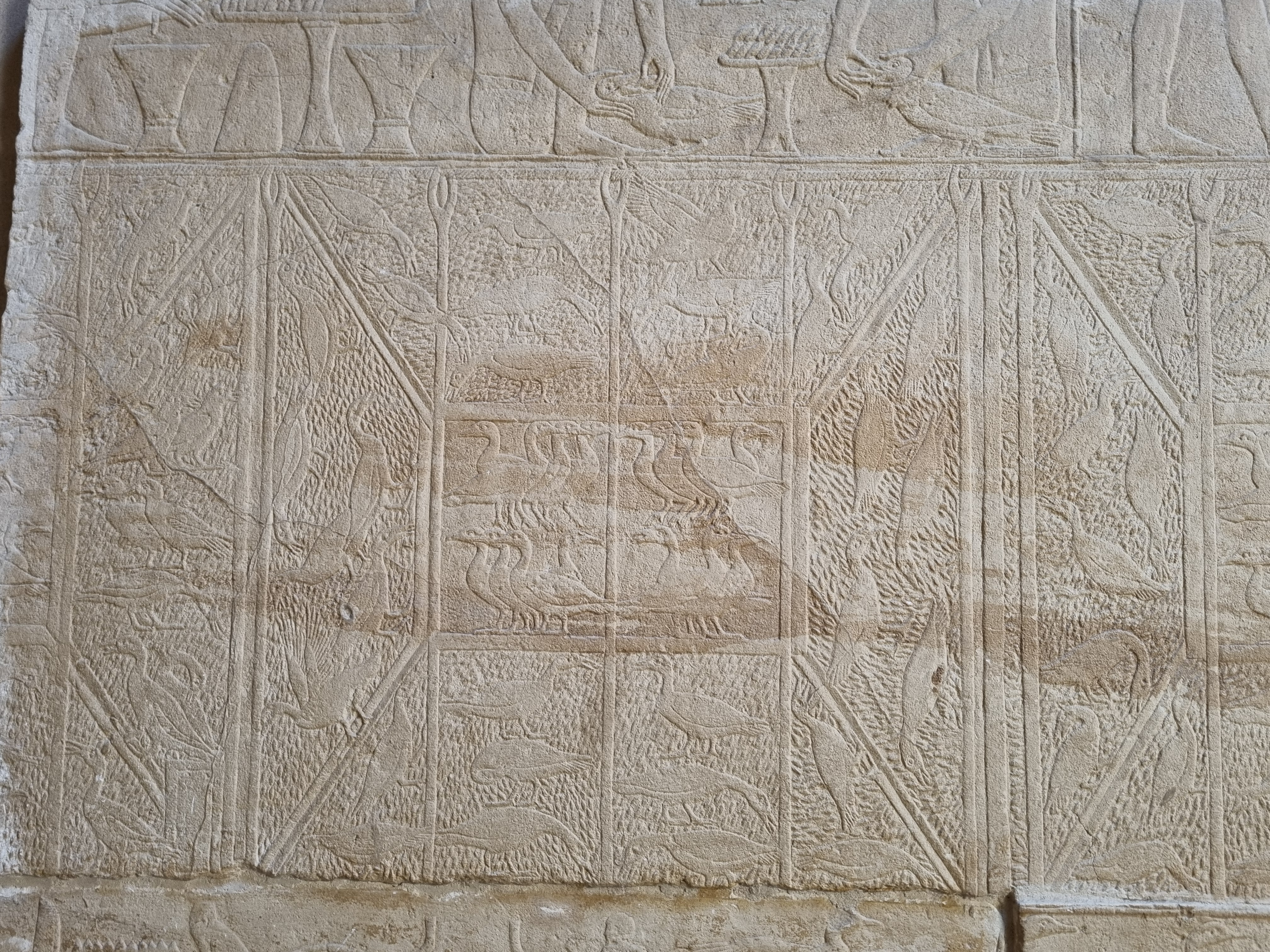 Photo from 2025