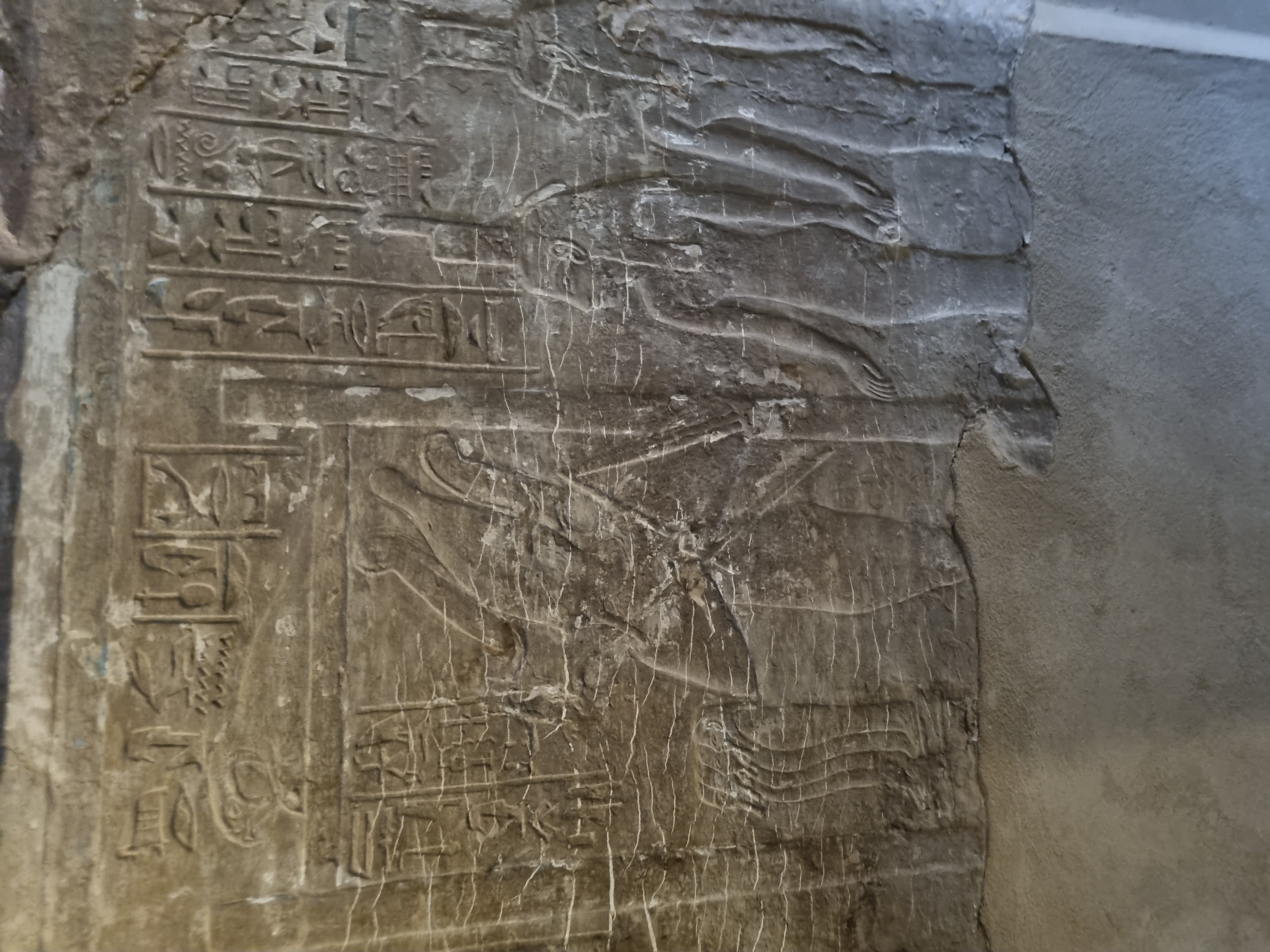 Photo from 2025