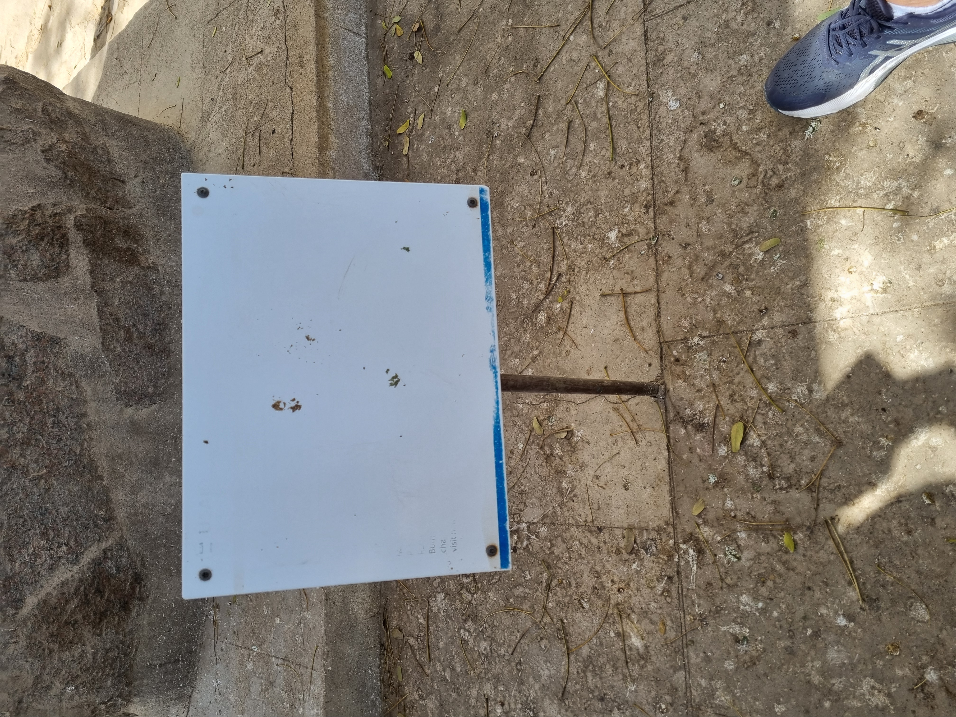 Photo from 2025