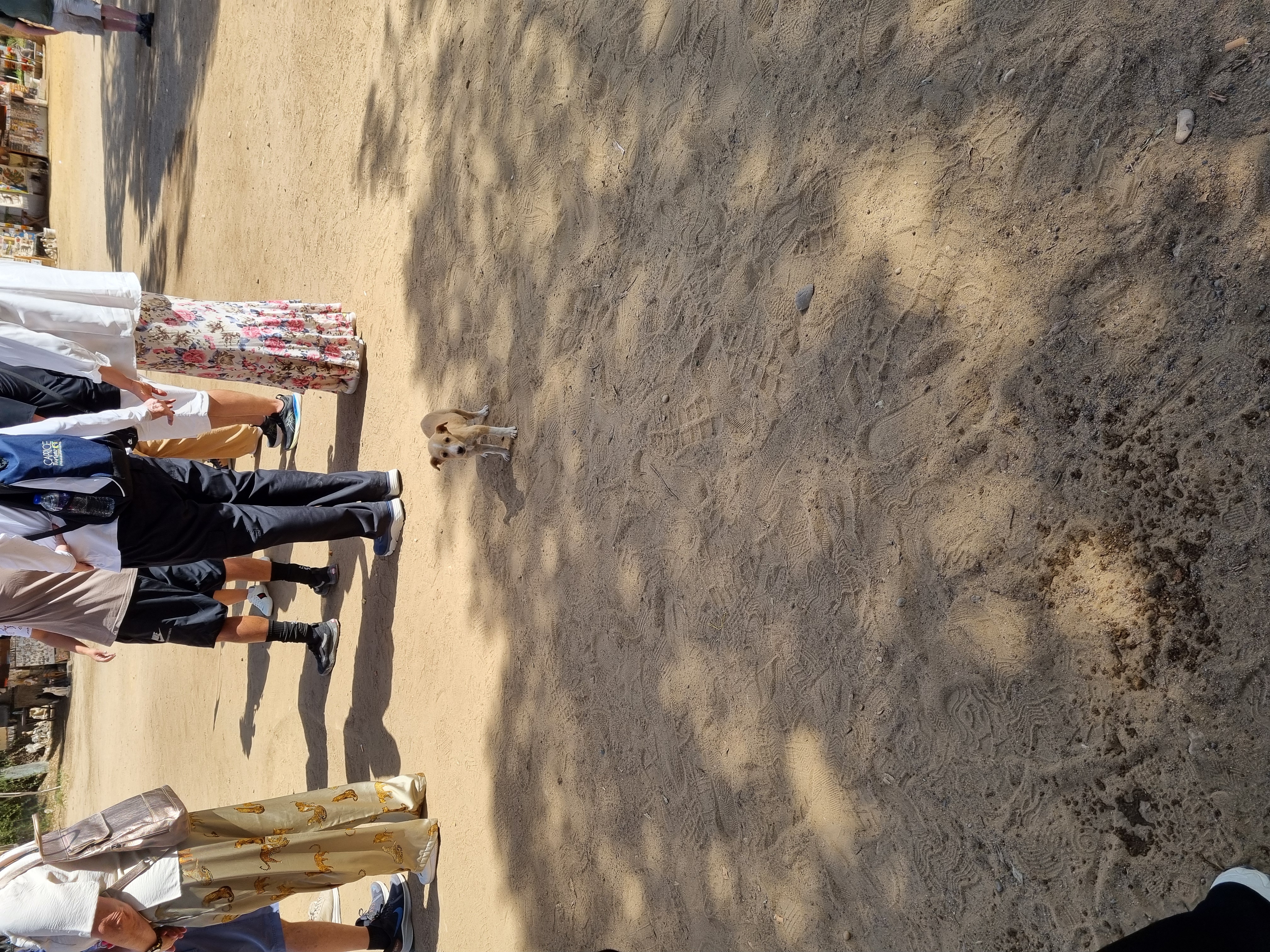 Photo from 2025