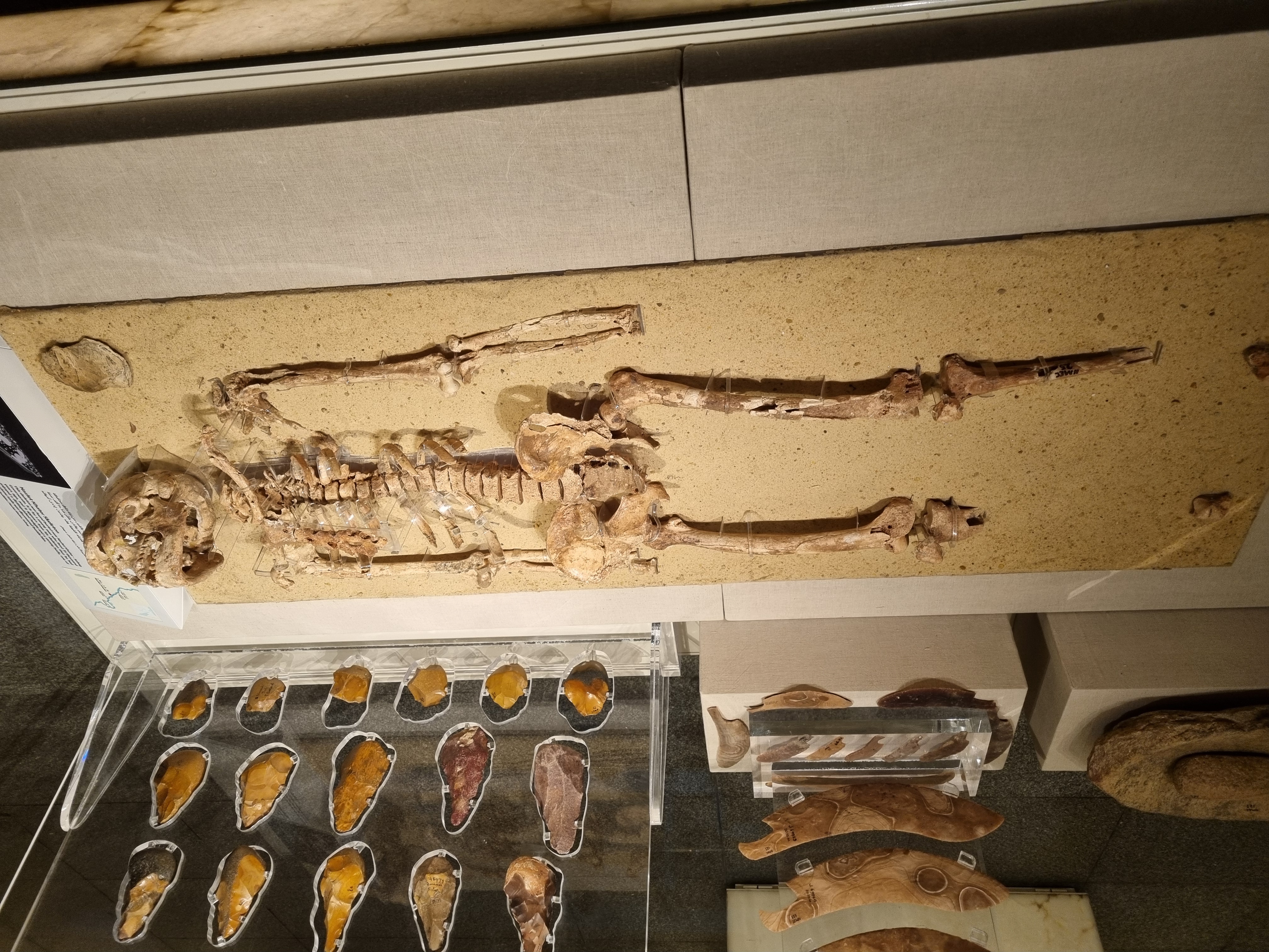 Photo from 2025
