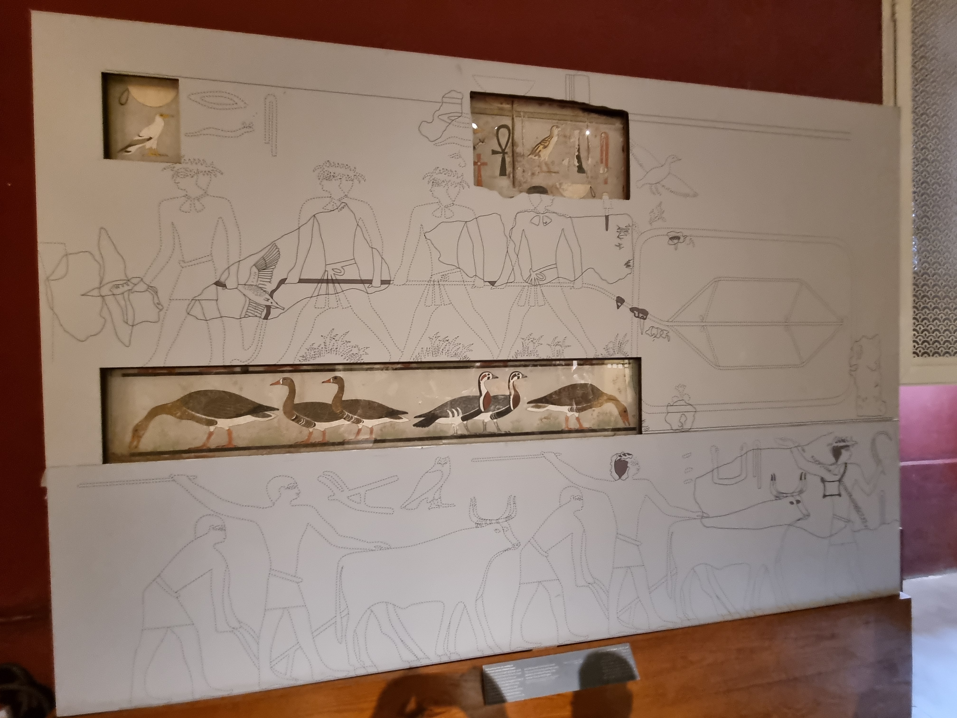 Photo from 2025