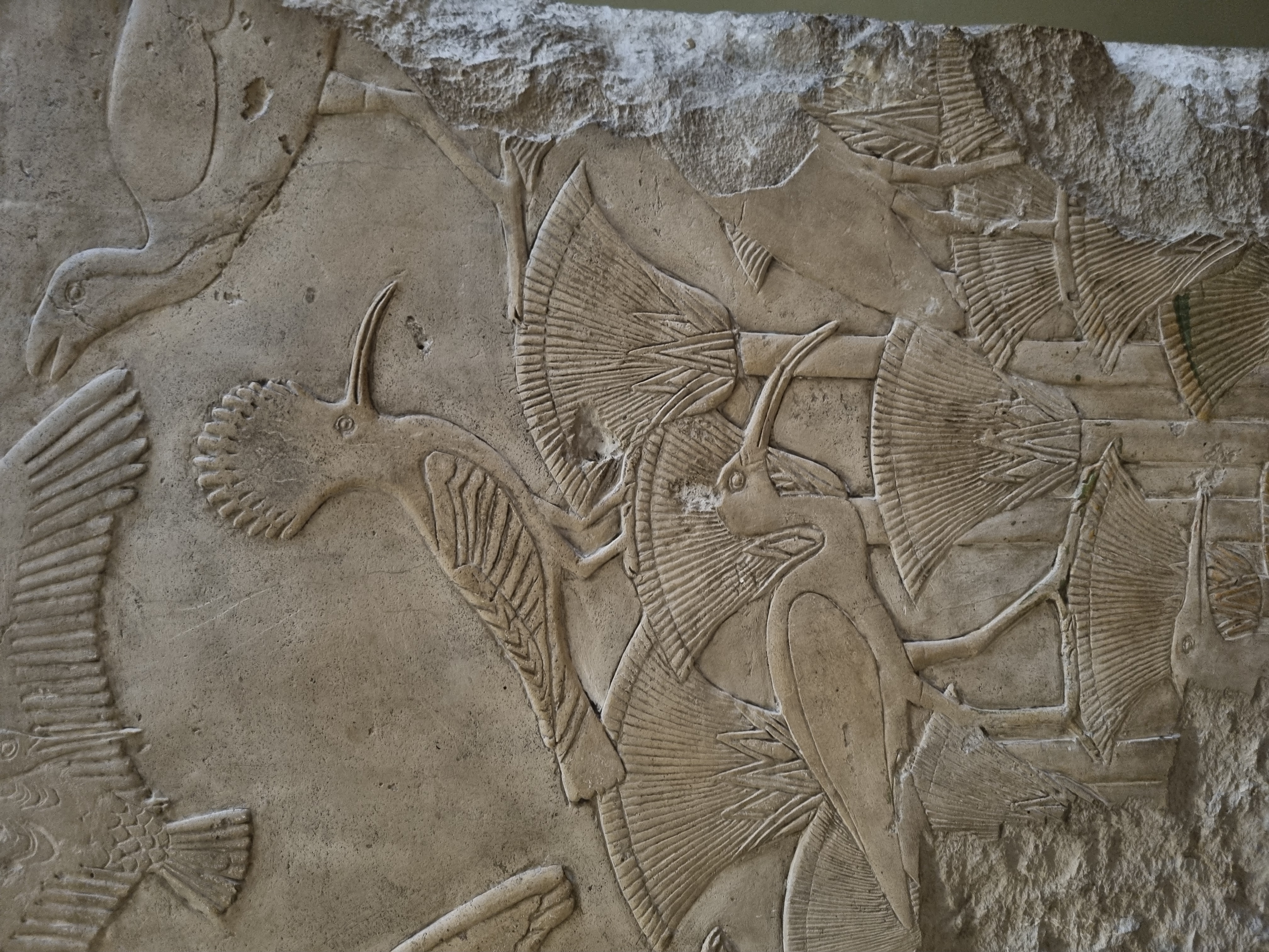 Photo from 2025