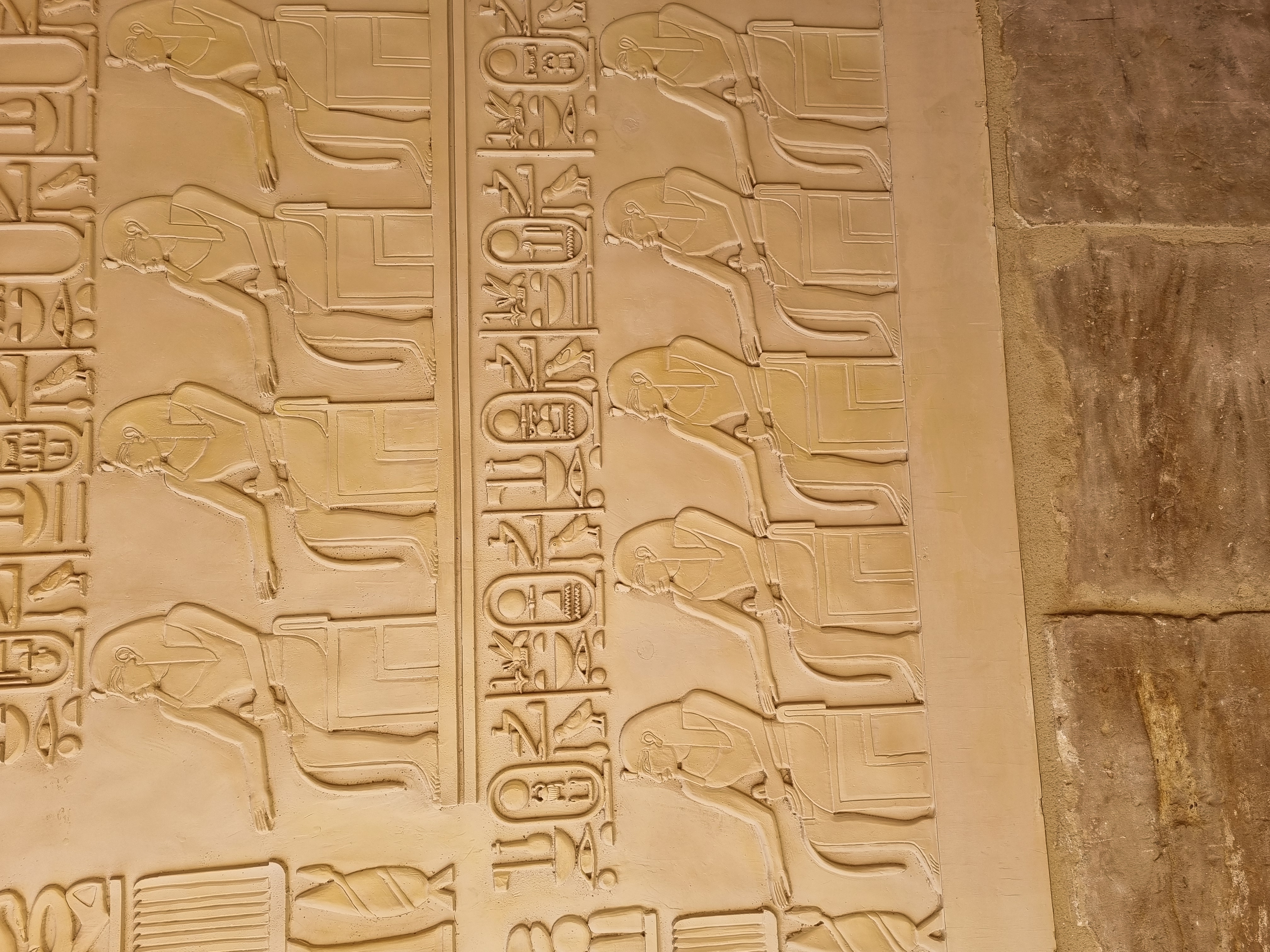 Photo from 2025