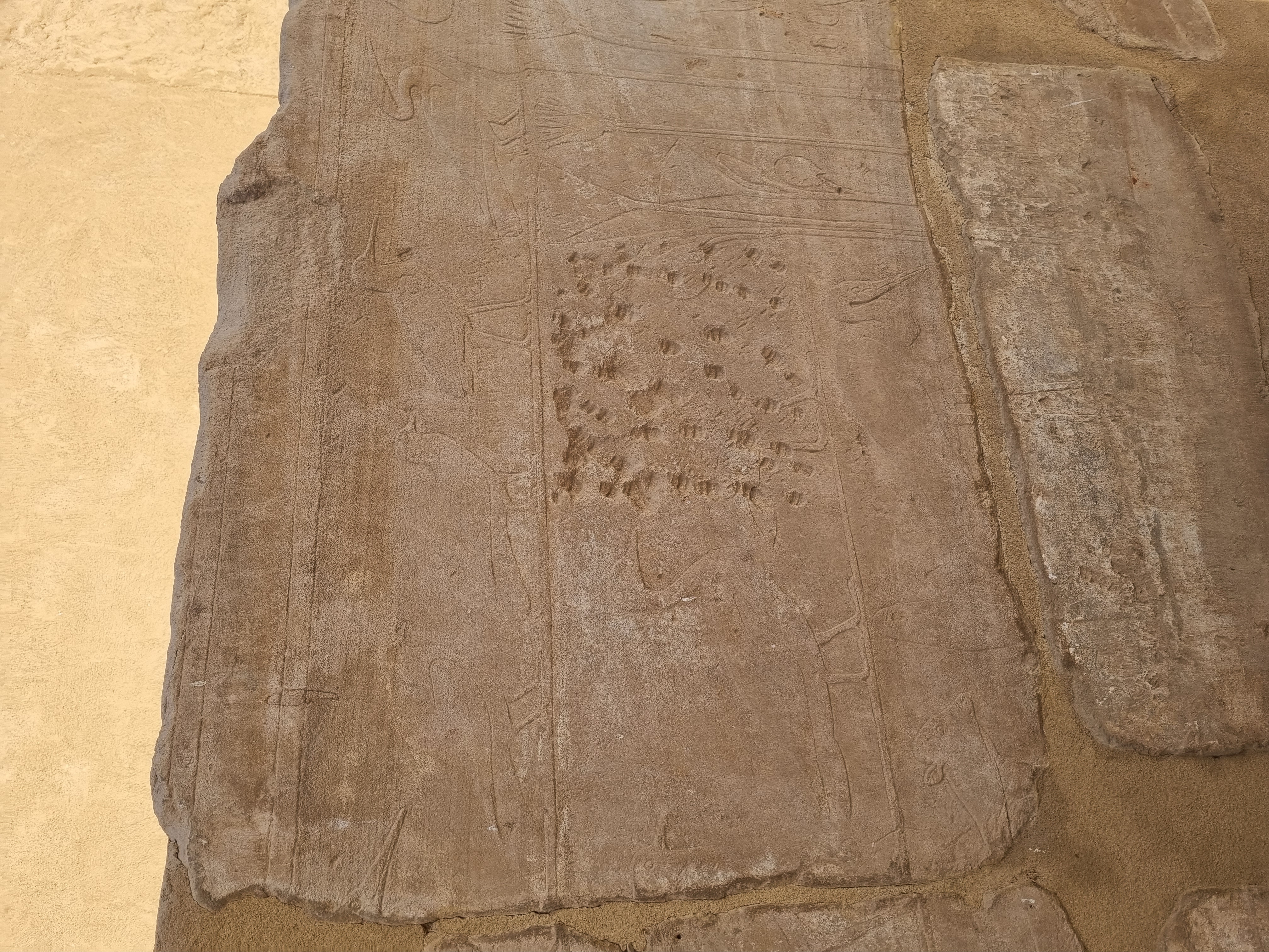 Photo from 2025