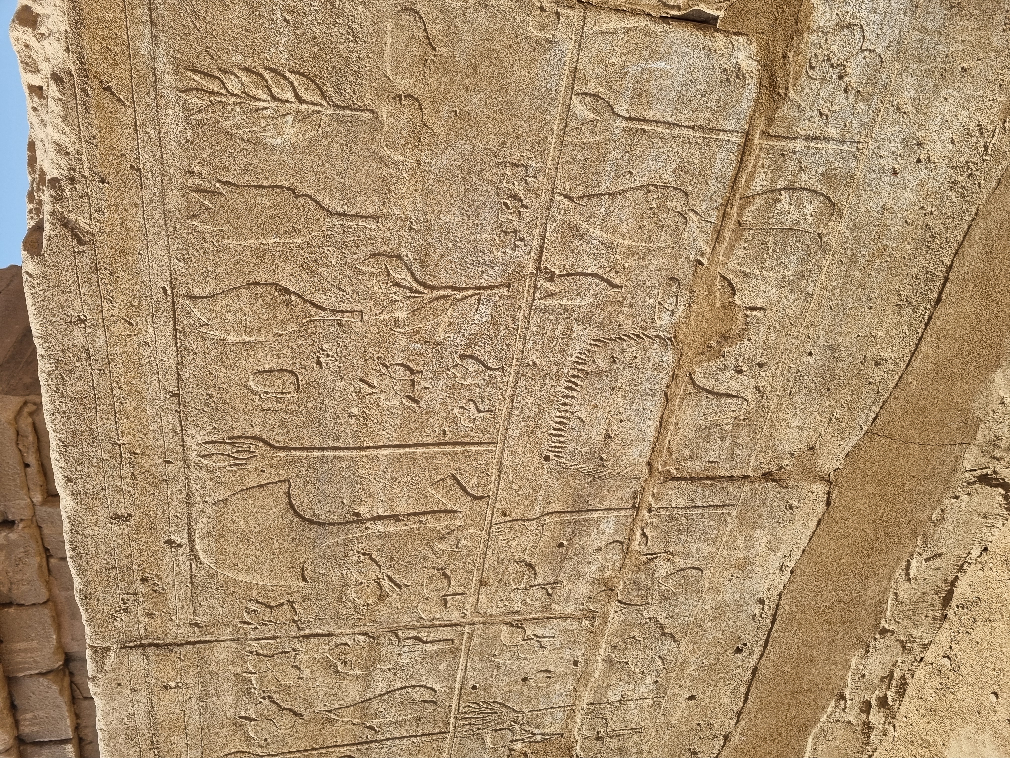 Photo from 2025