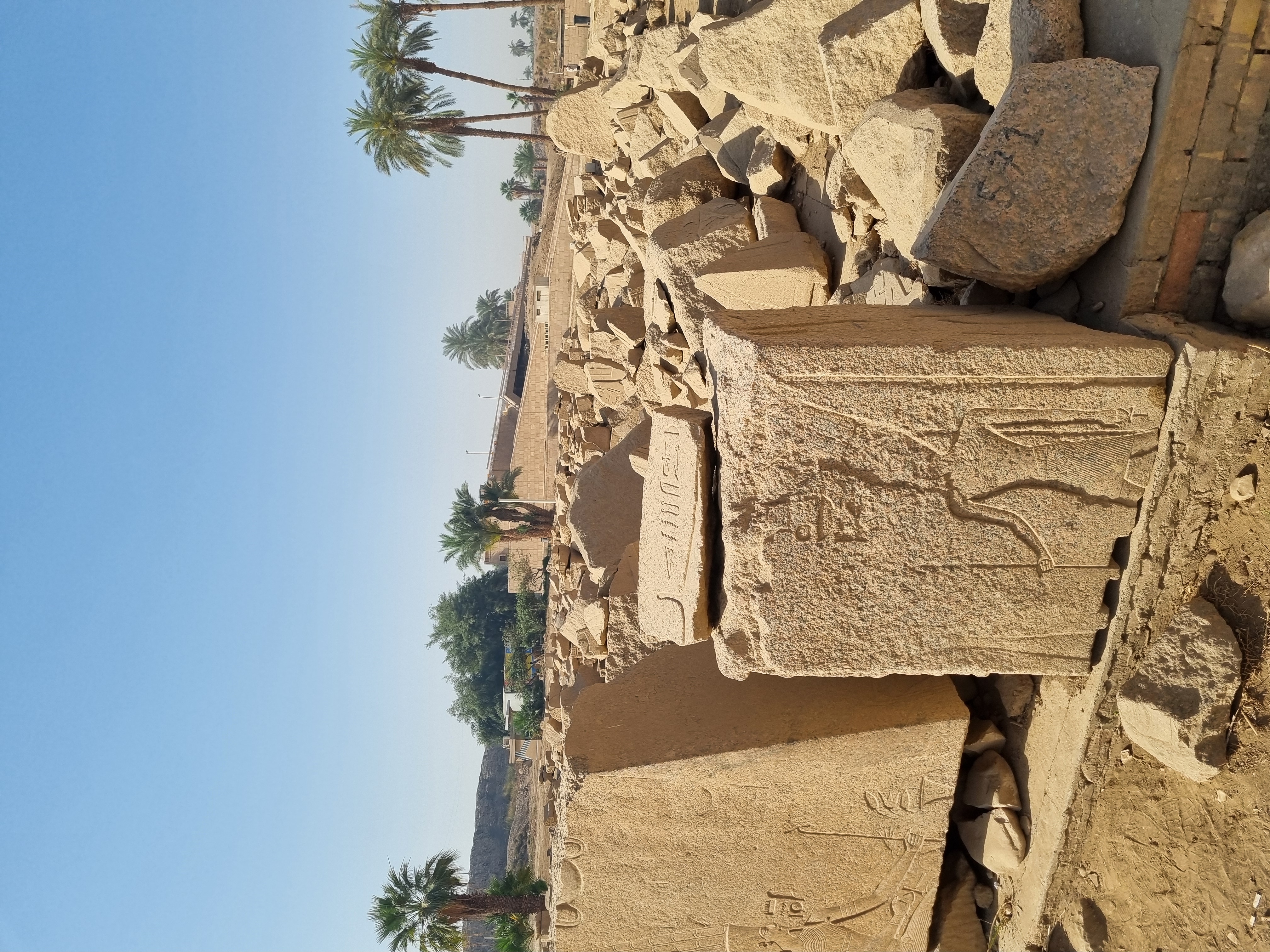 Photo from 2025