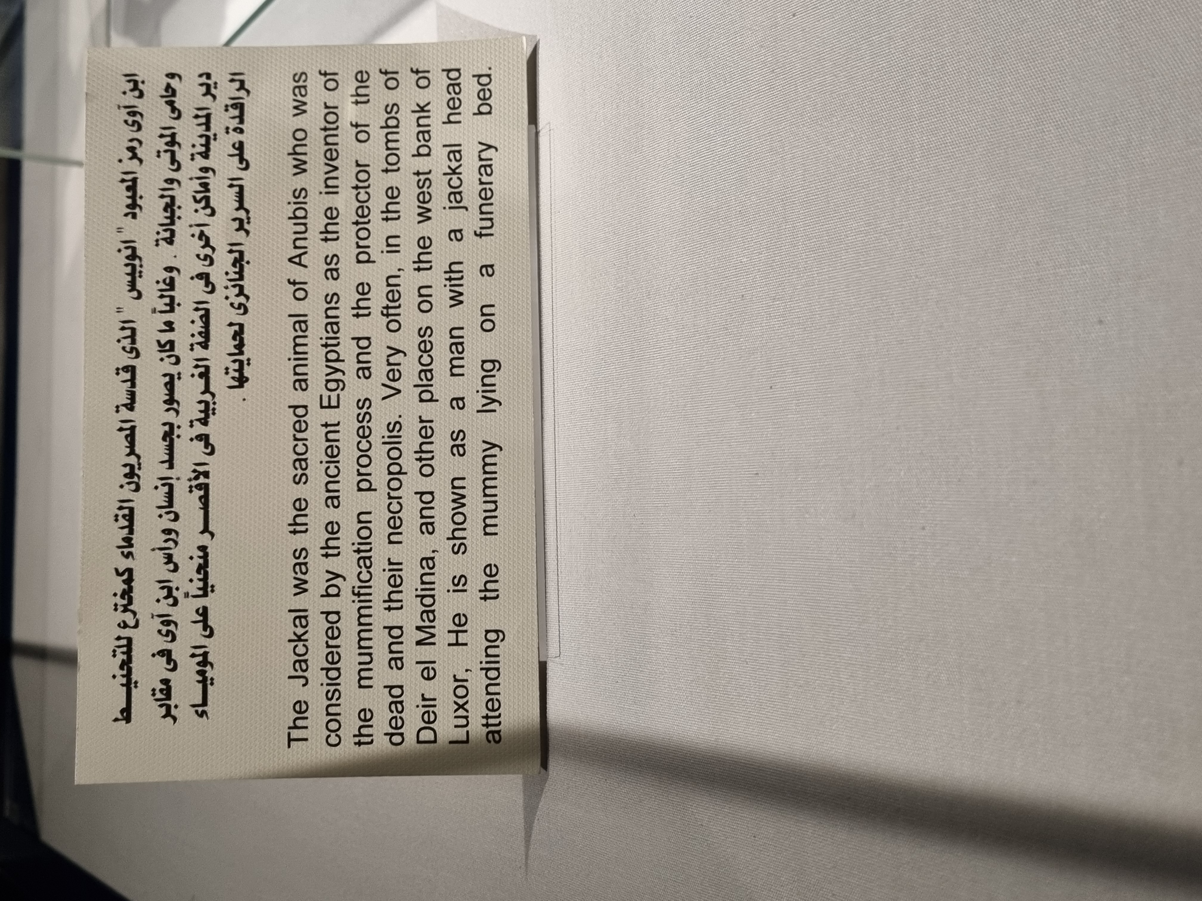 Photo from 2025