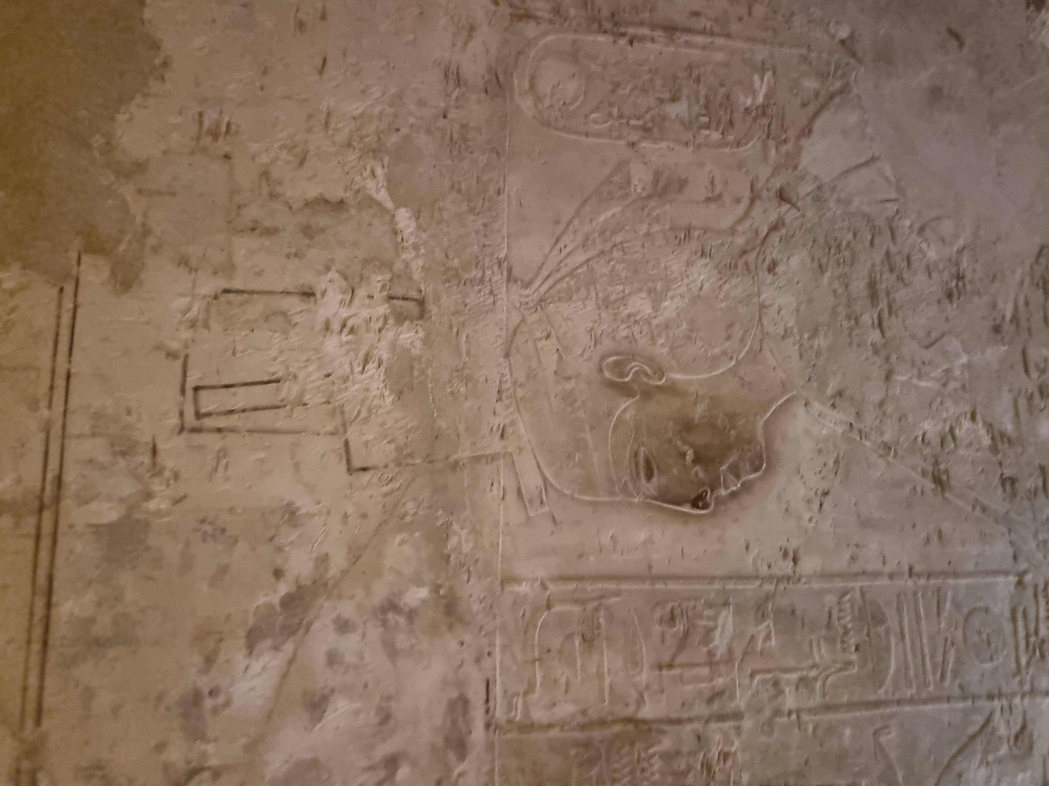 Photo from 2025