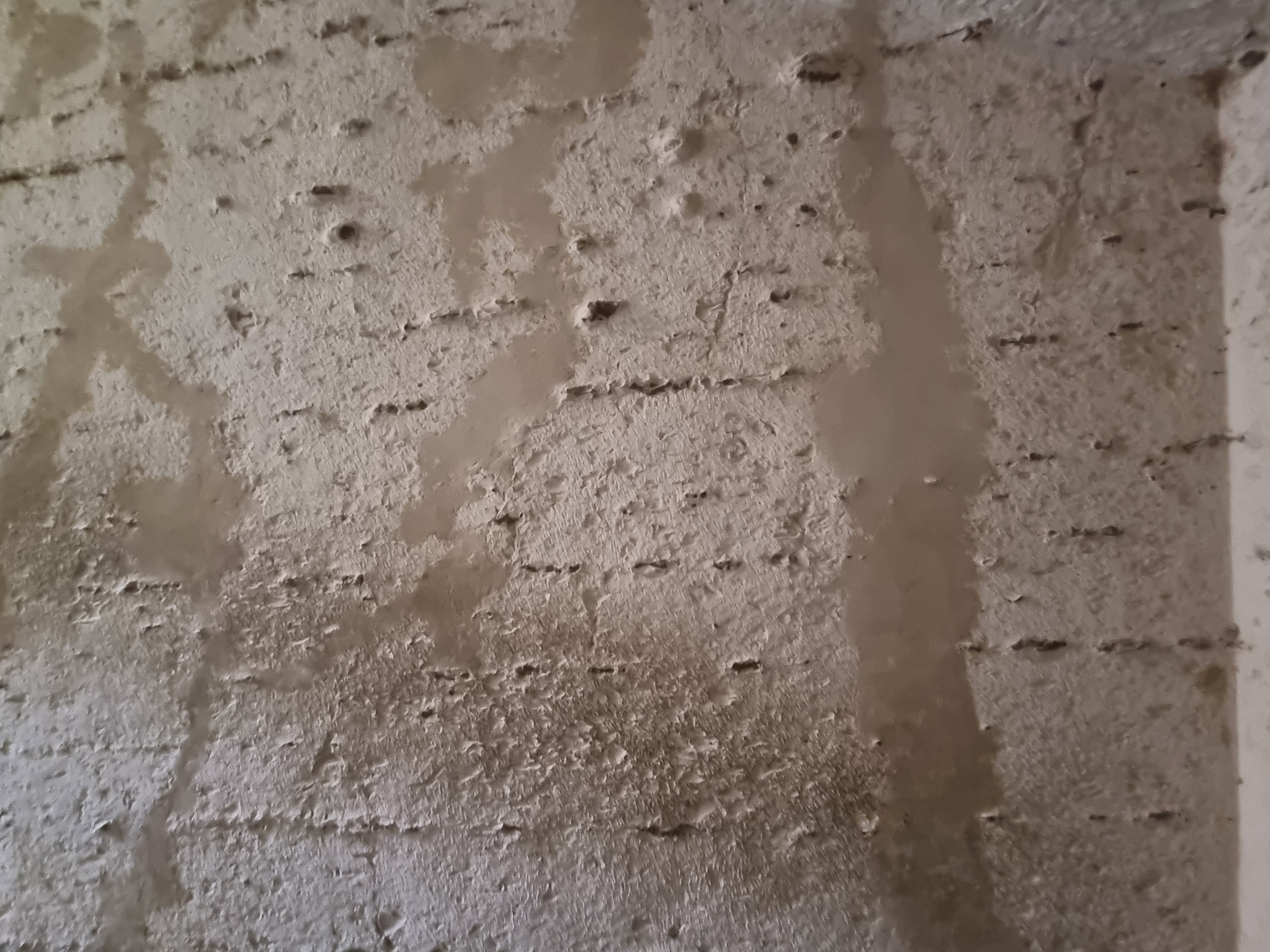 Photo from 2025