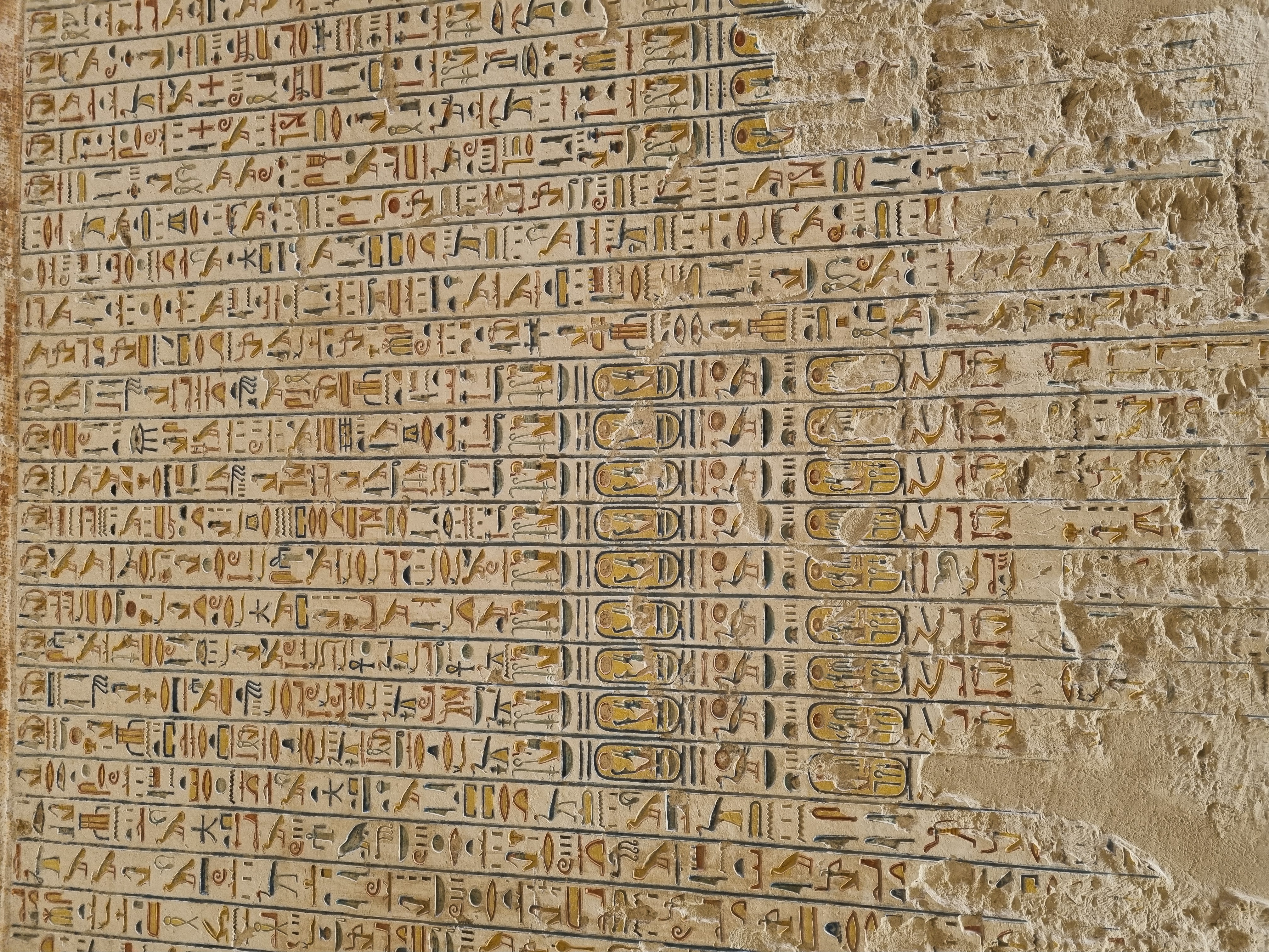 Photo from 2025