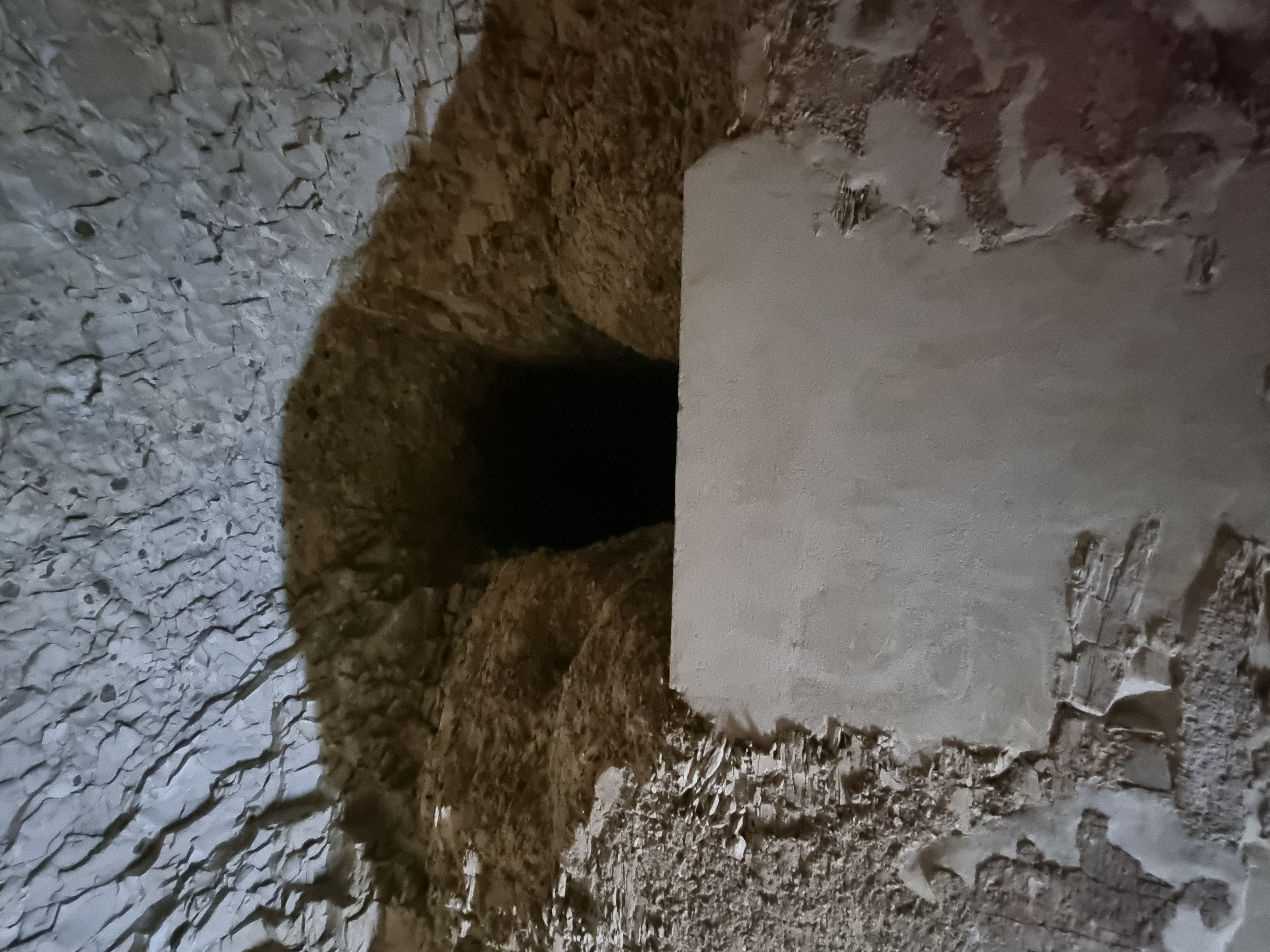 Photo from 2025