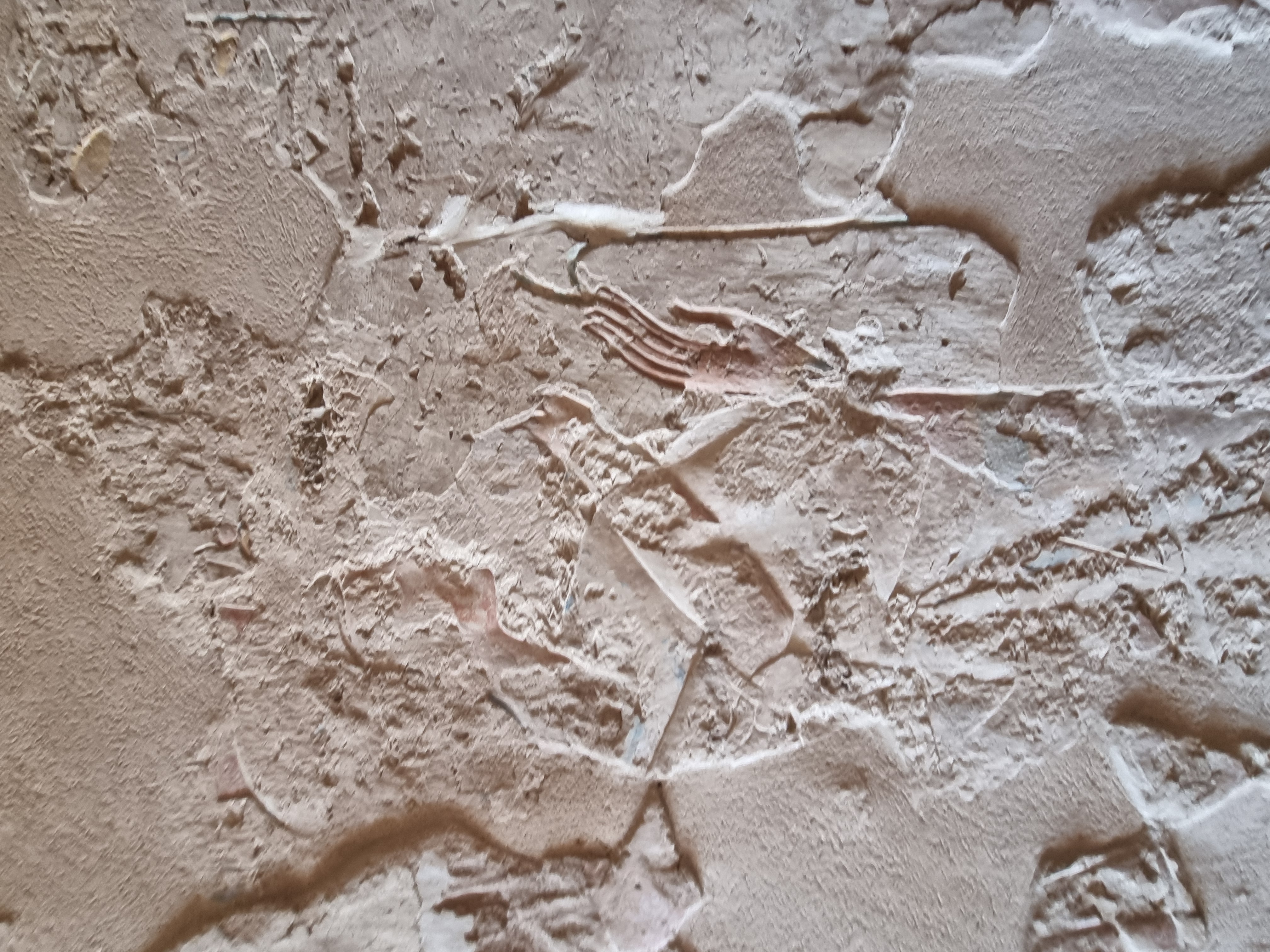 Photo from 2025