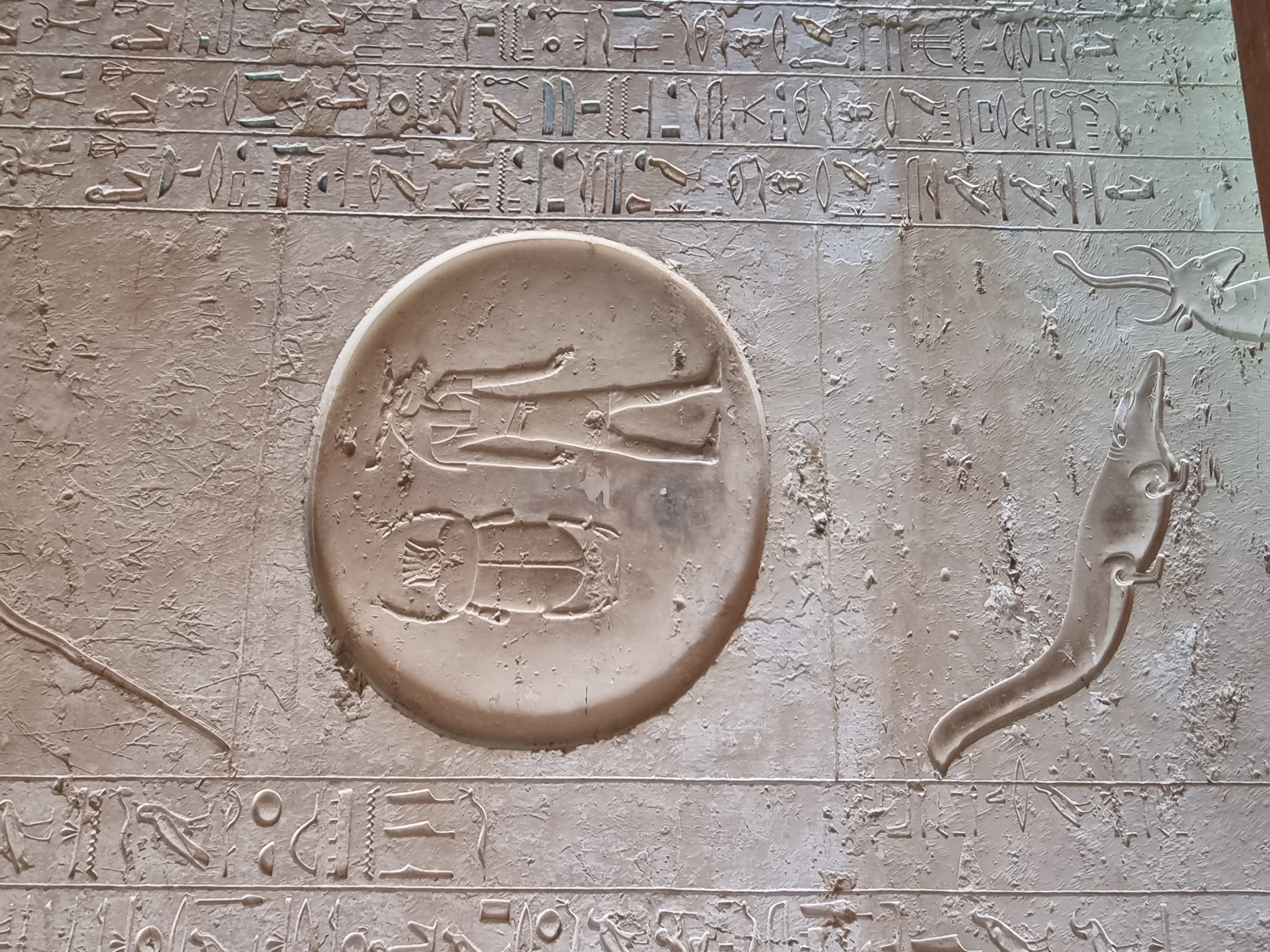 Photo from 2025