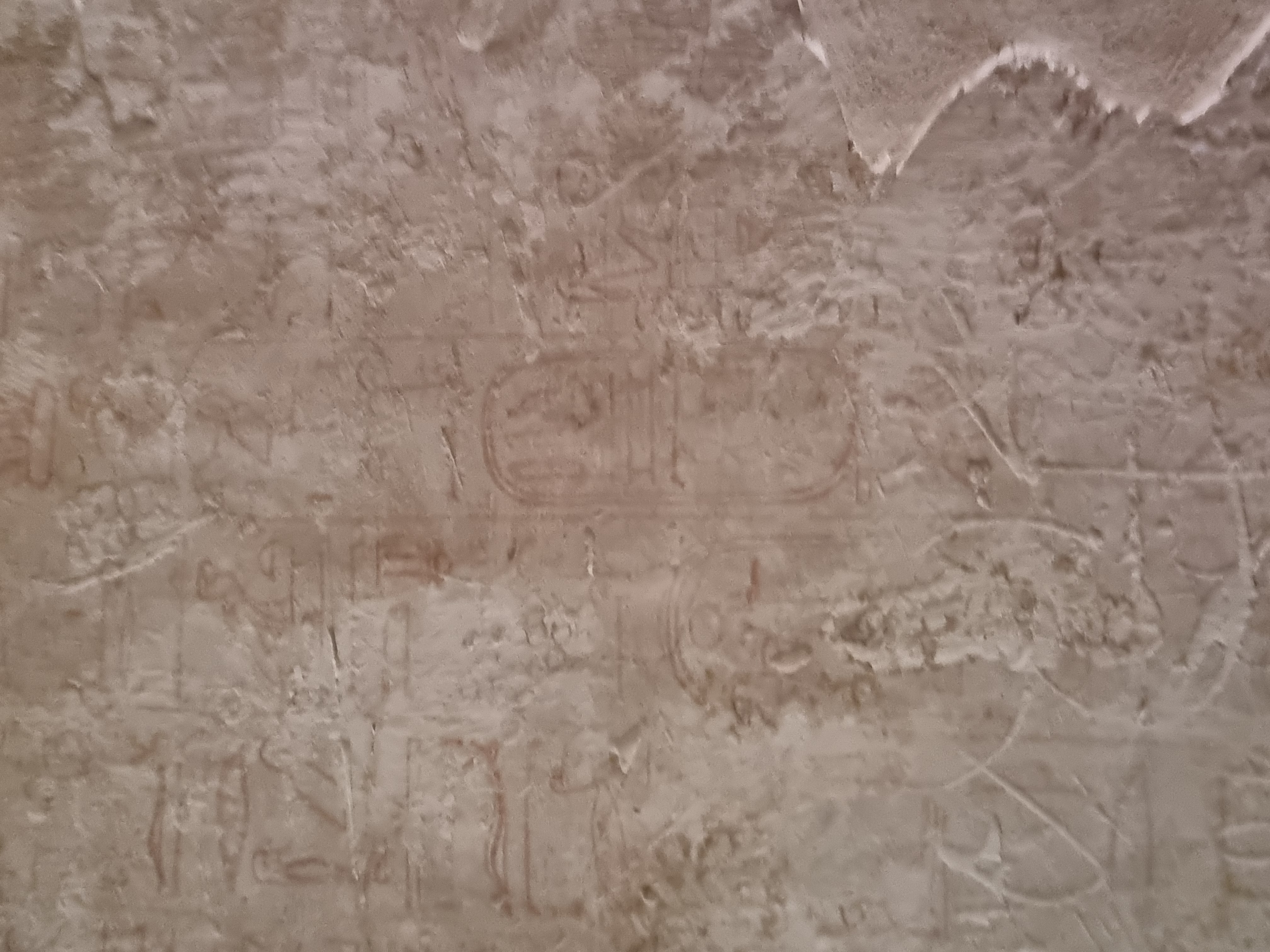 Photo from 2025