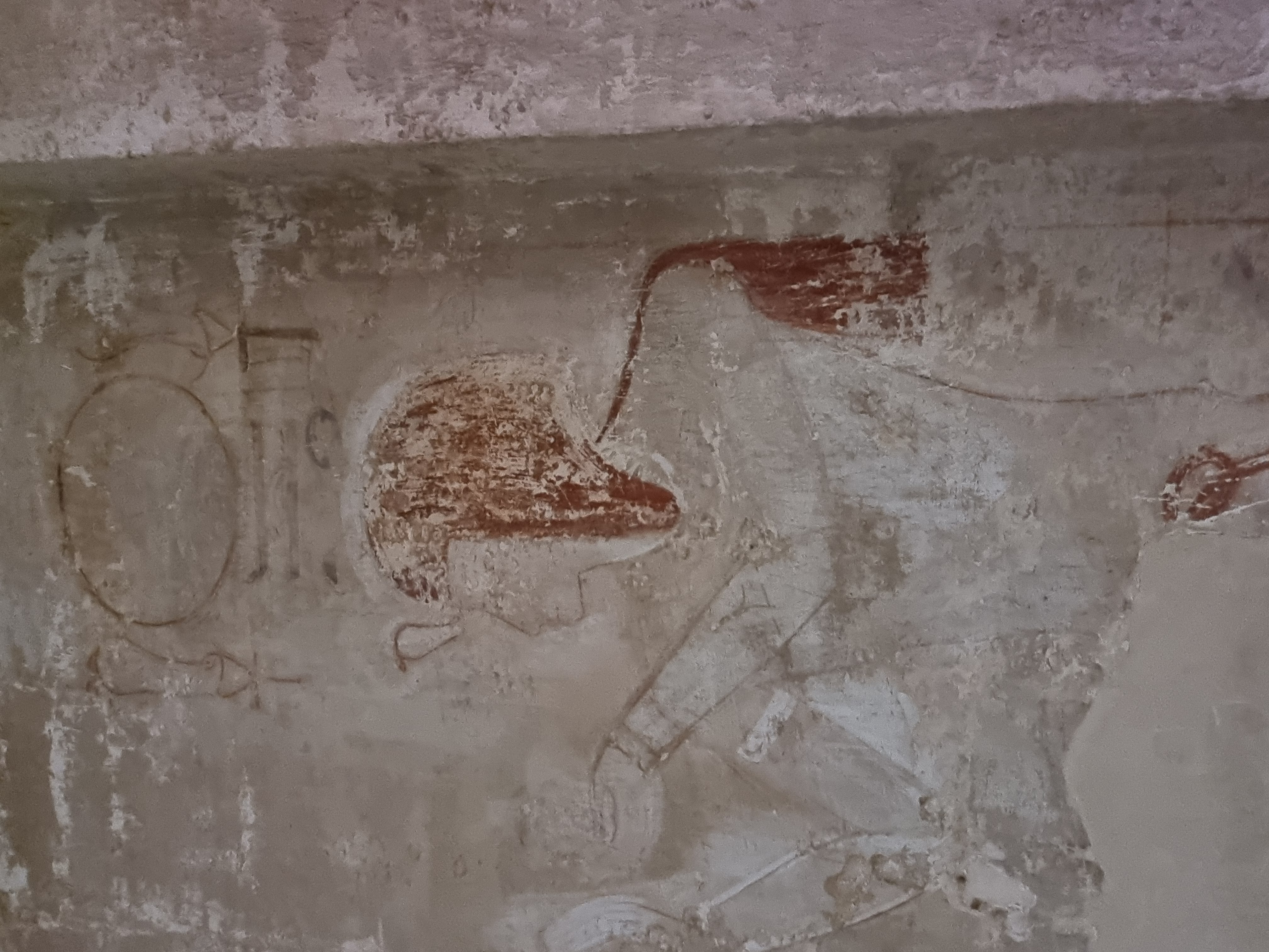 Photo from 2025
