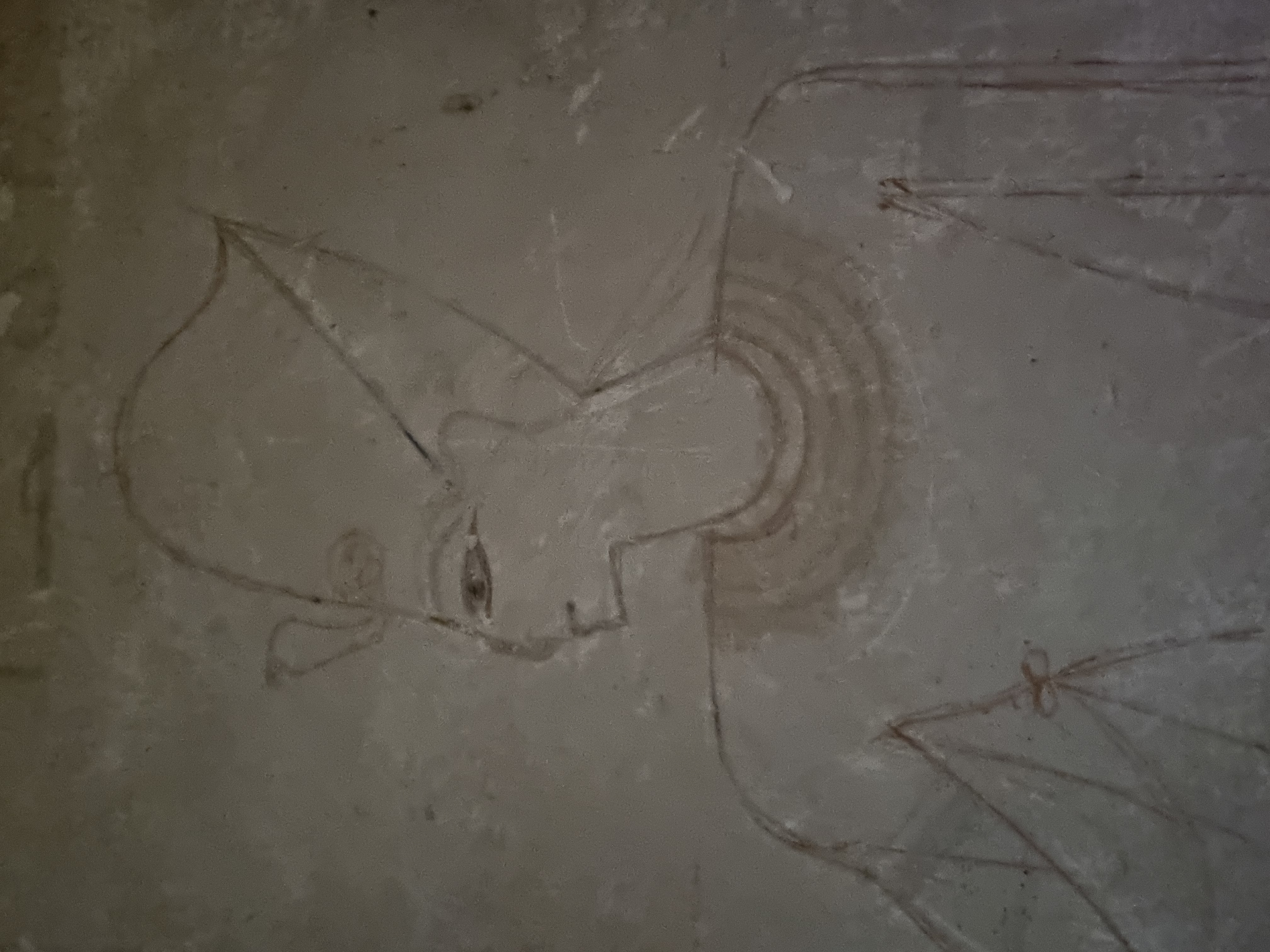 Photo from 2025