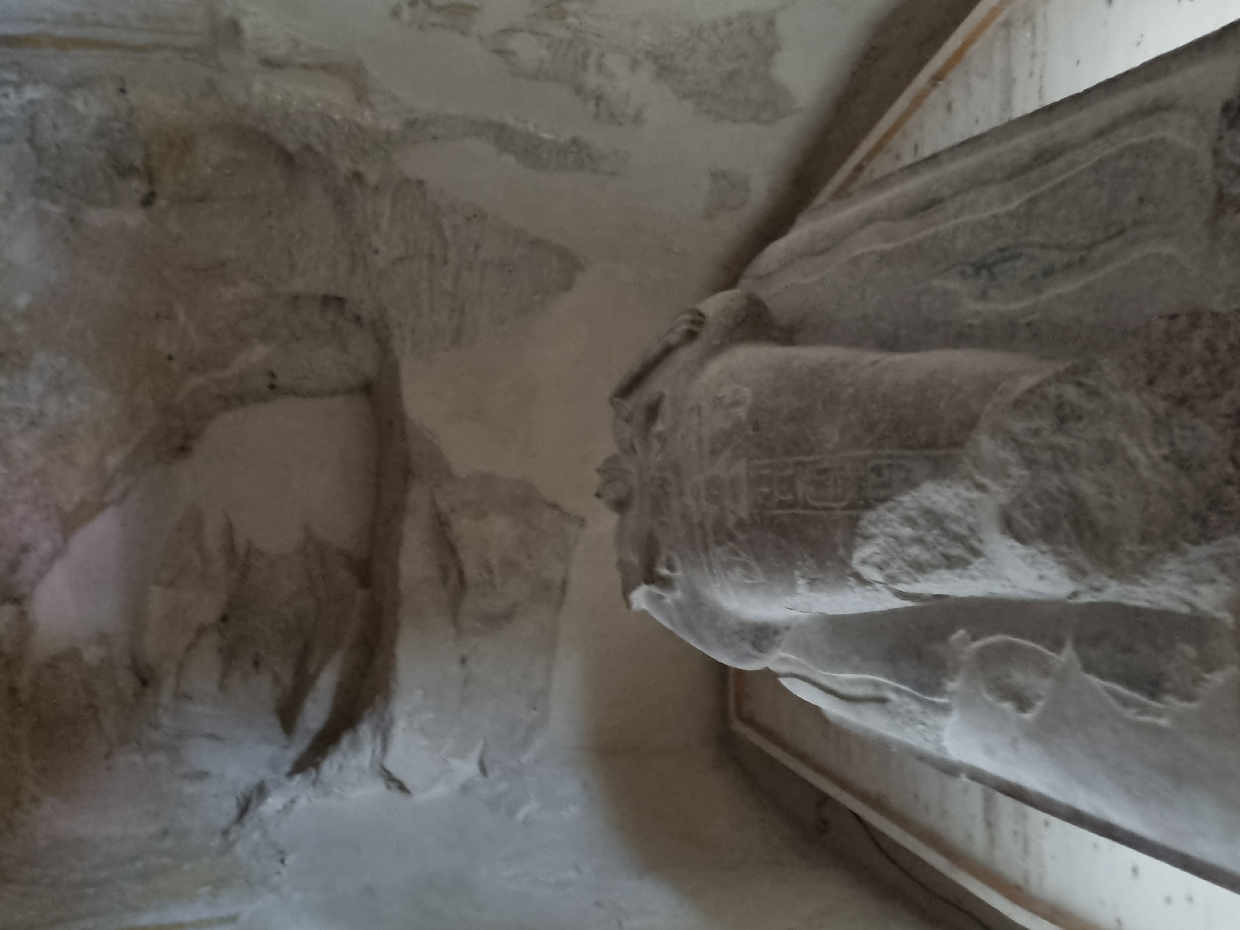 Photo from 2025