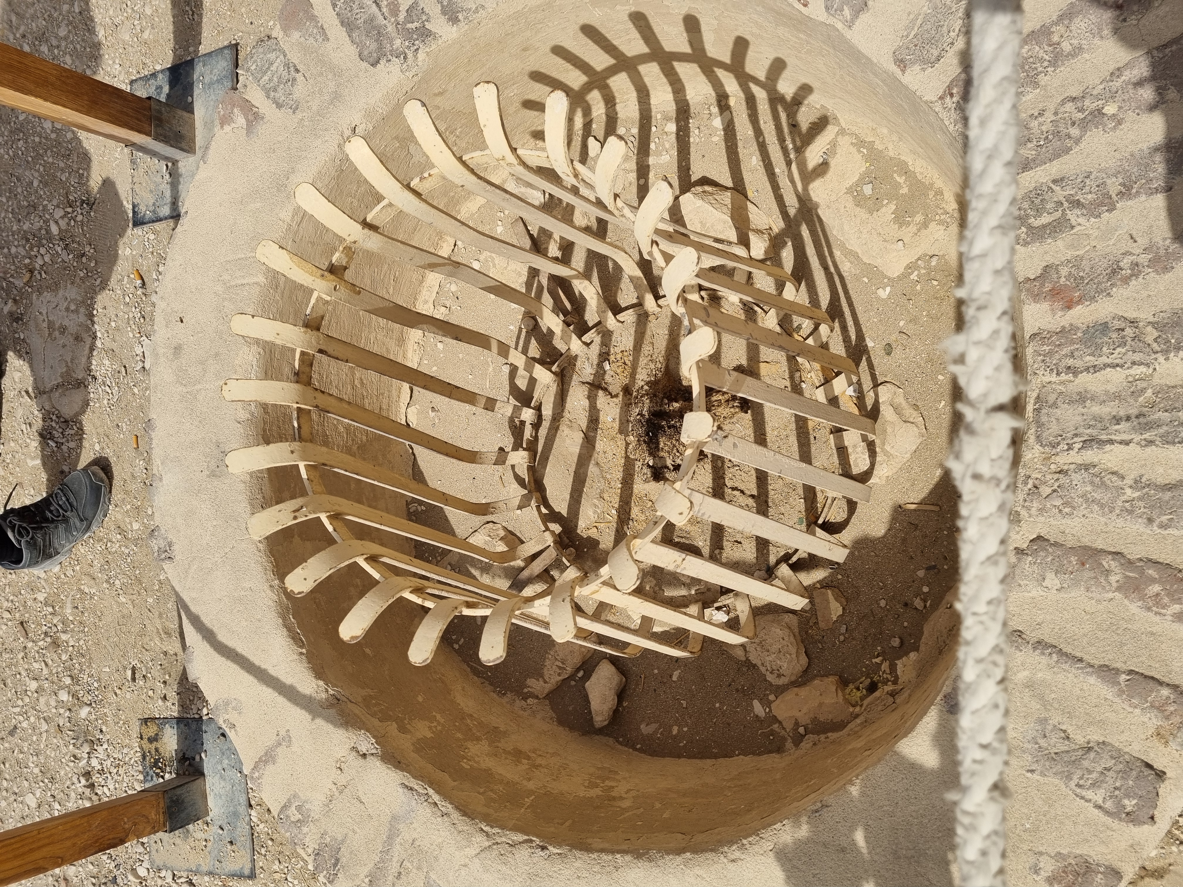 Photo from 2025