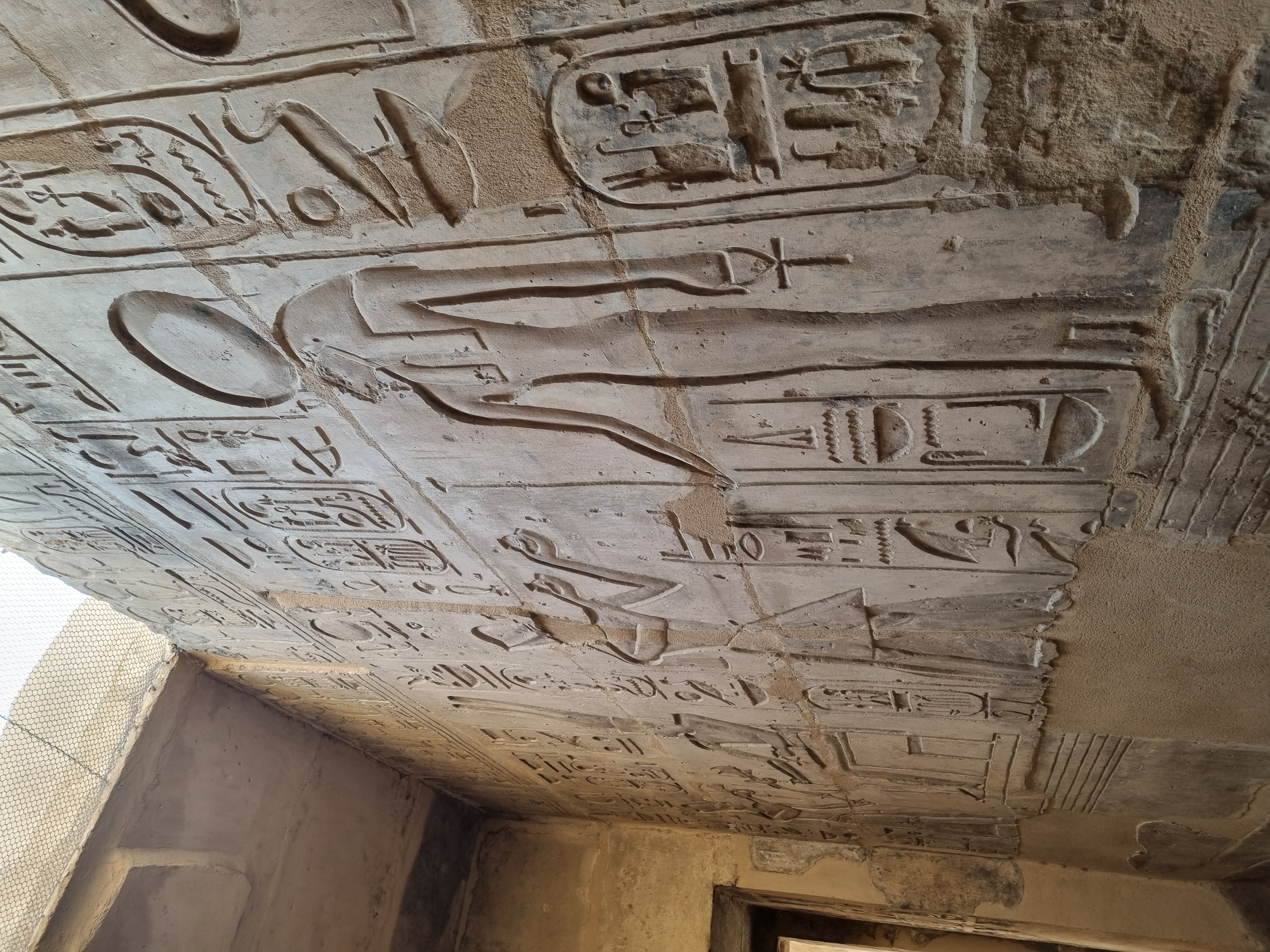 Photo from 2025