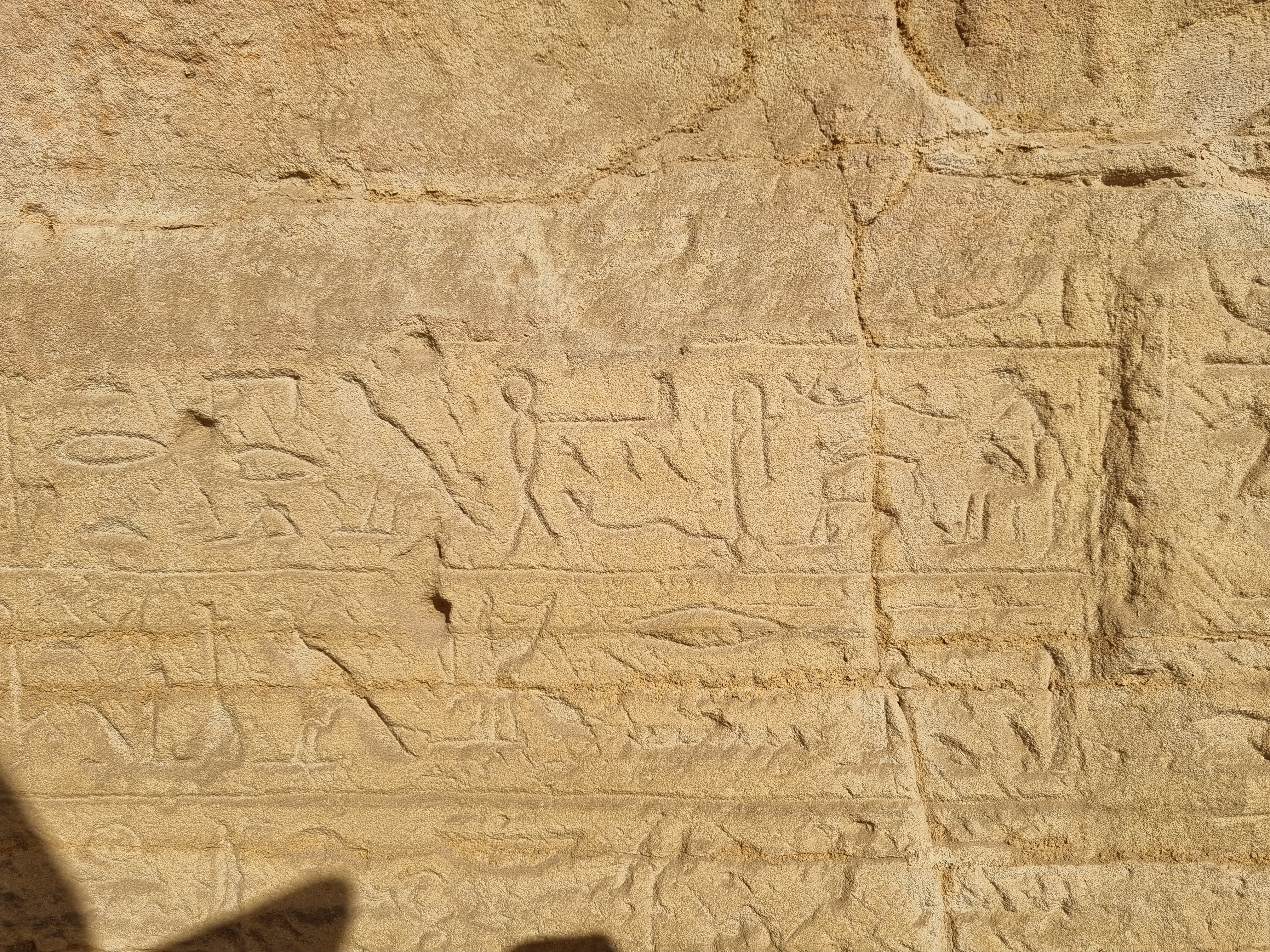 Photo from 2025