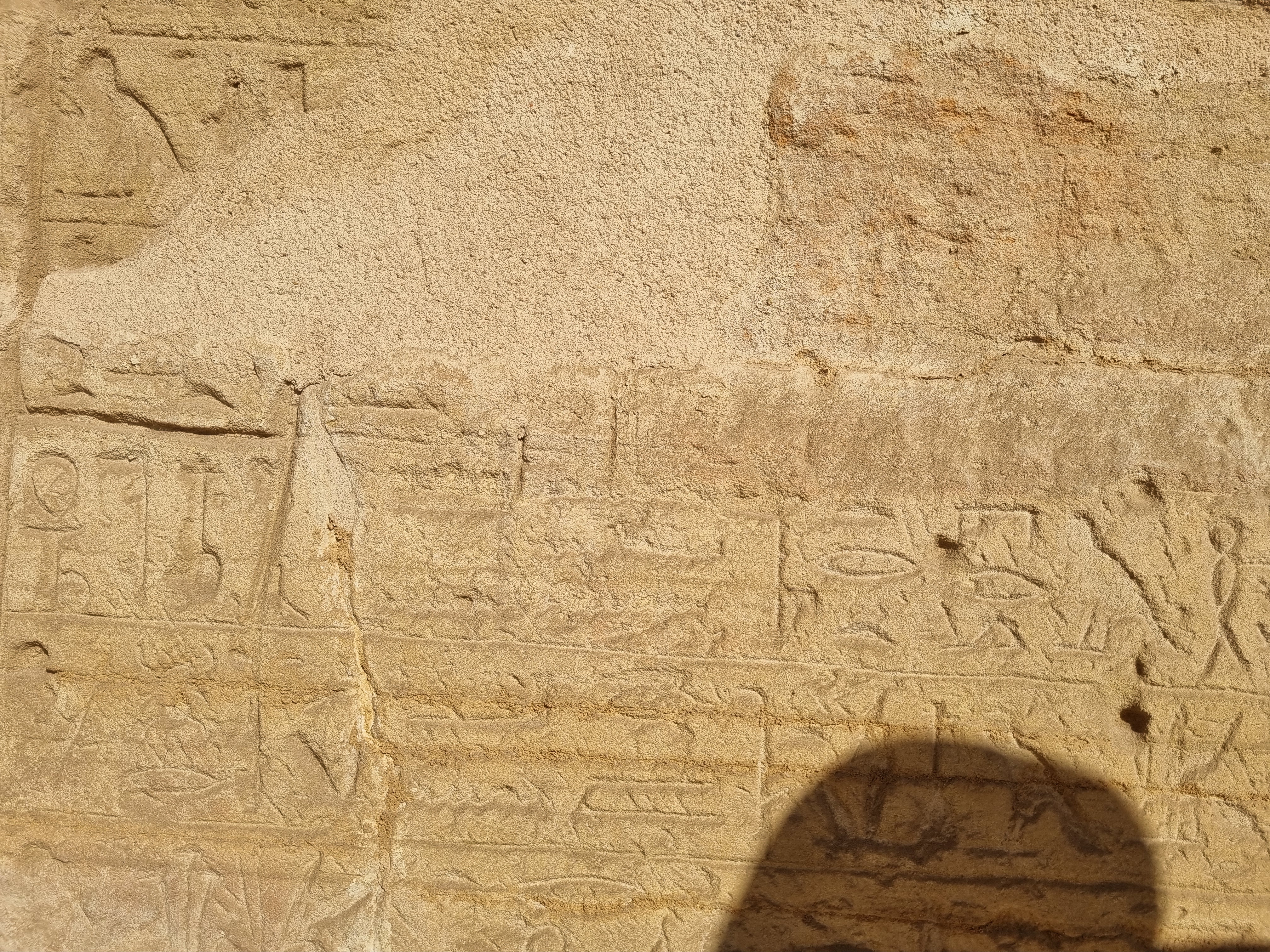 Photo from 2025