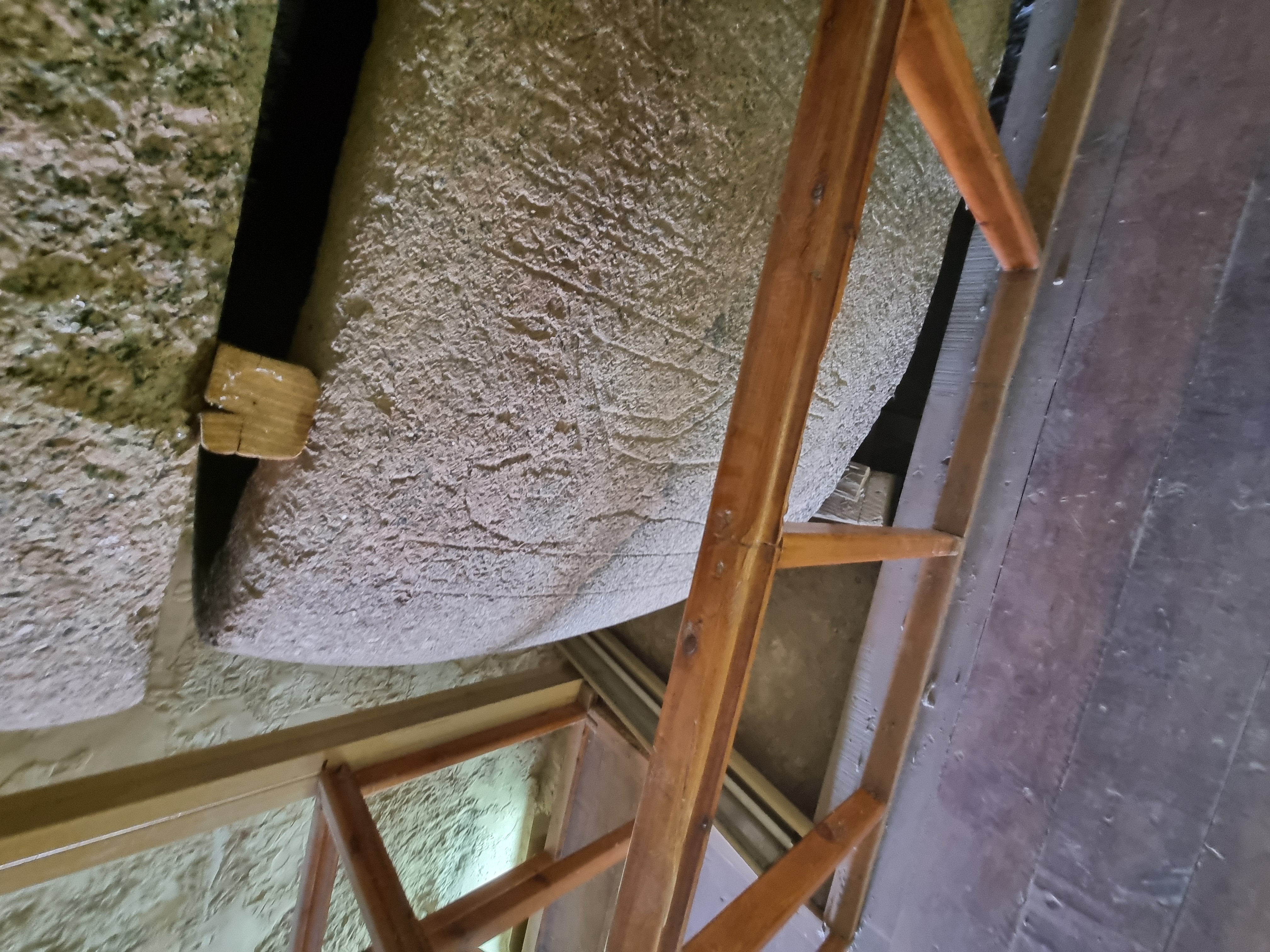 Photo from 2025