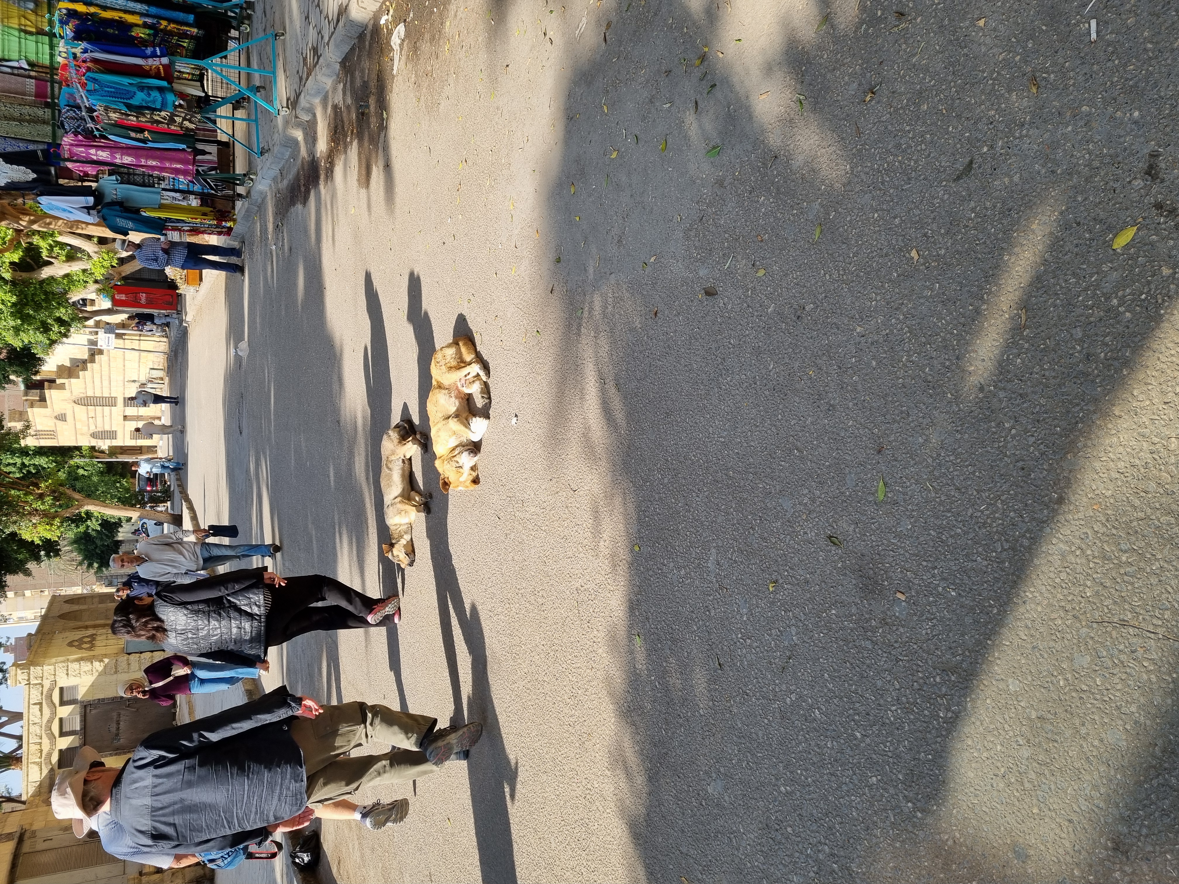 Photo from 2025