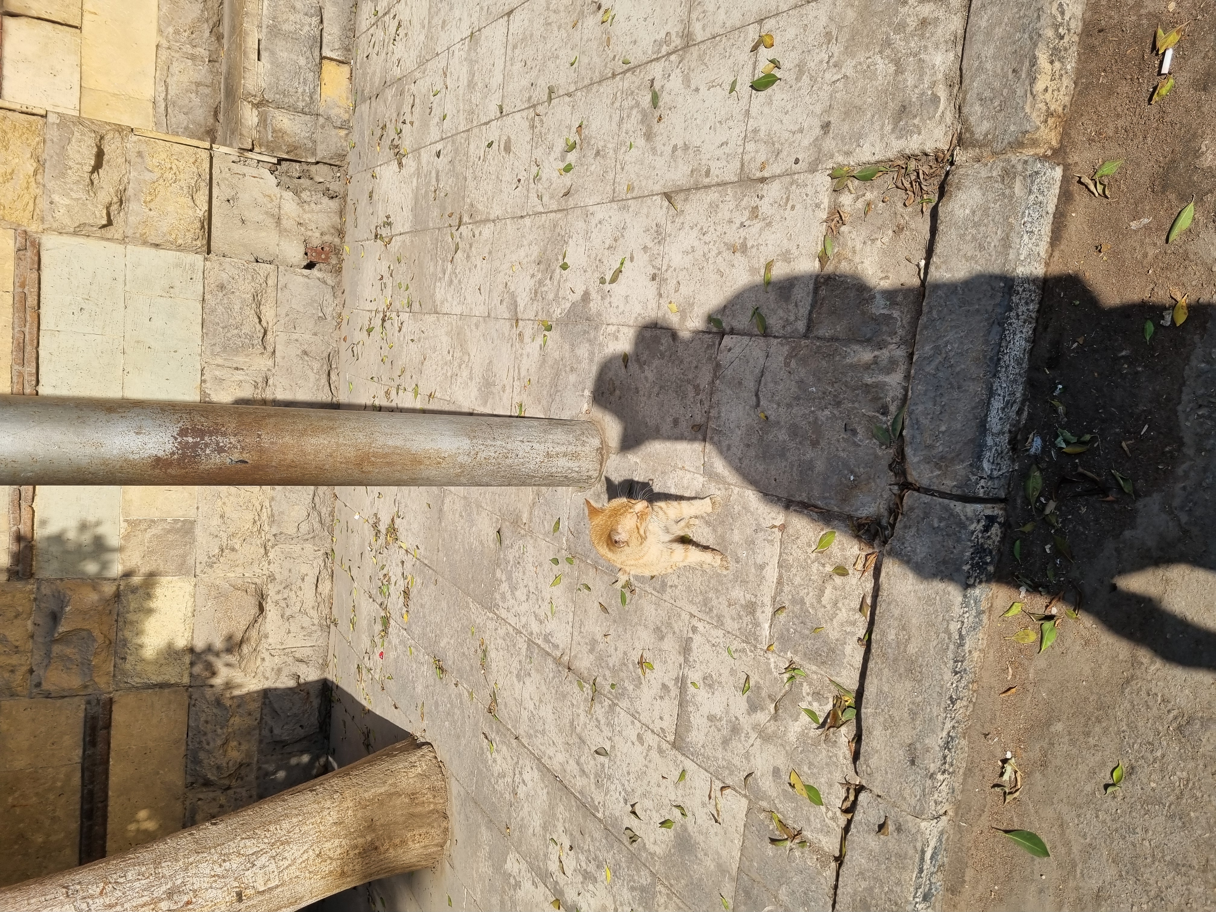 Photo from 2025